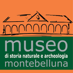 logo-museo.jpg