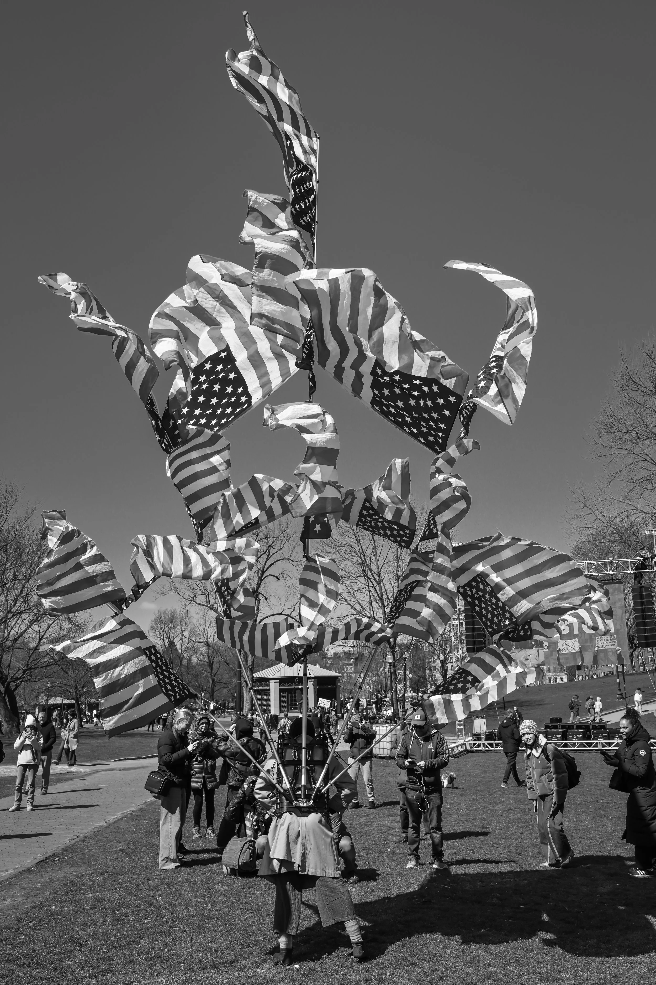Z72_4954.jpg