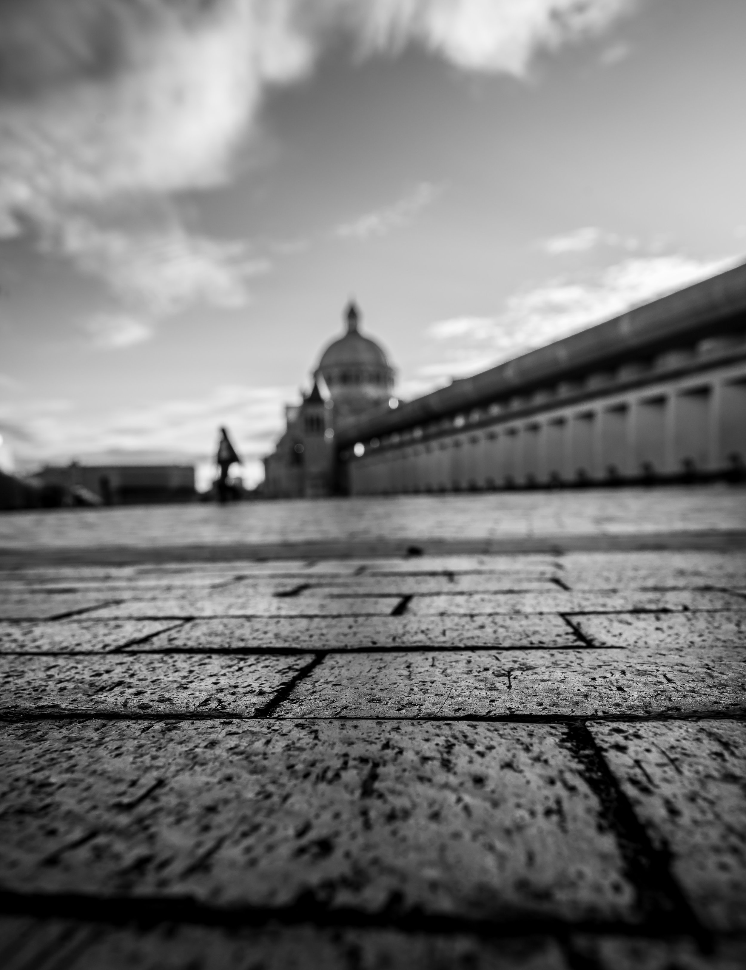 DSC_7453.jpg