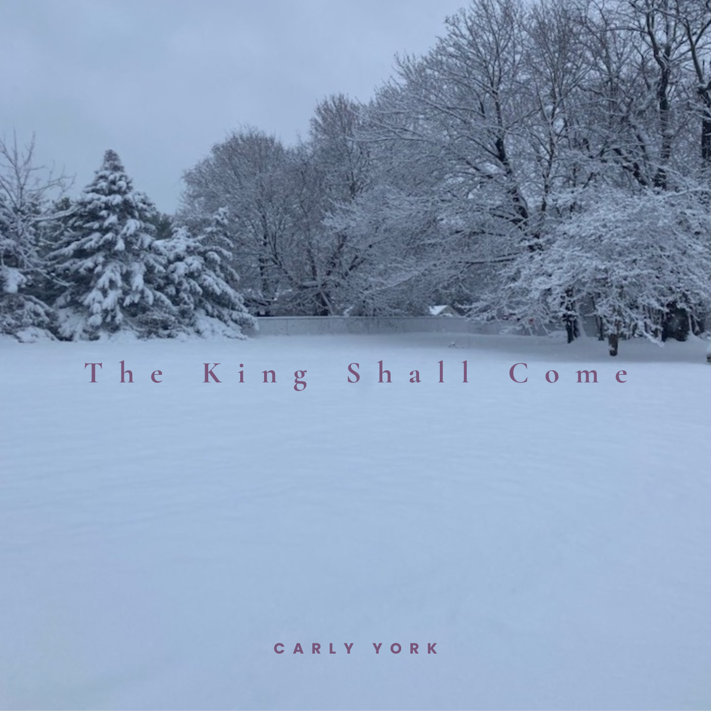The King Shall Come Snow Album Cover.png