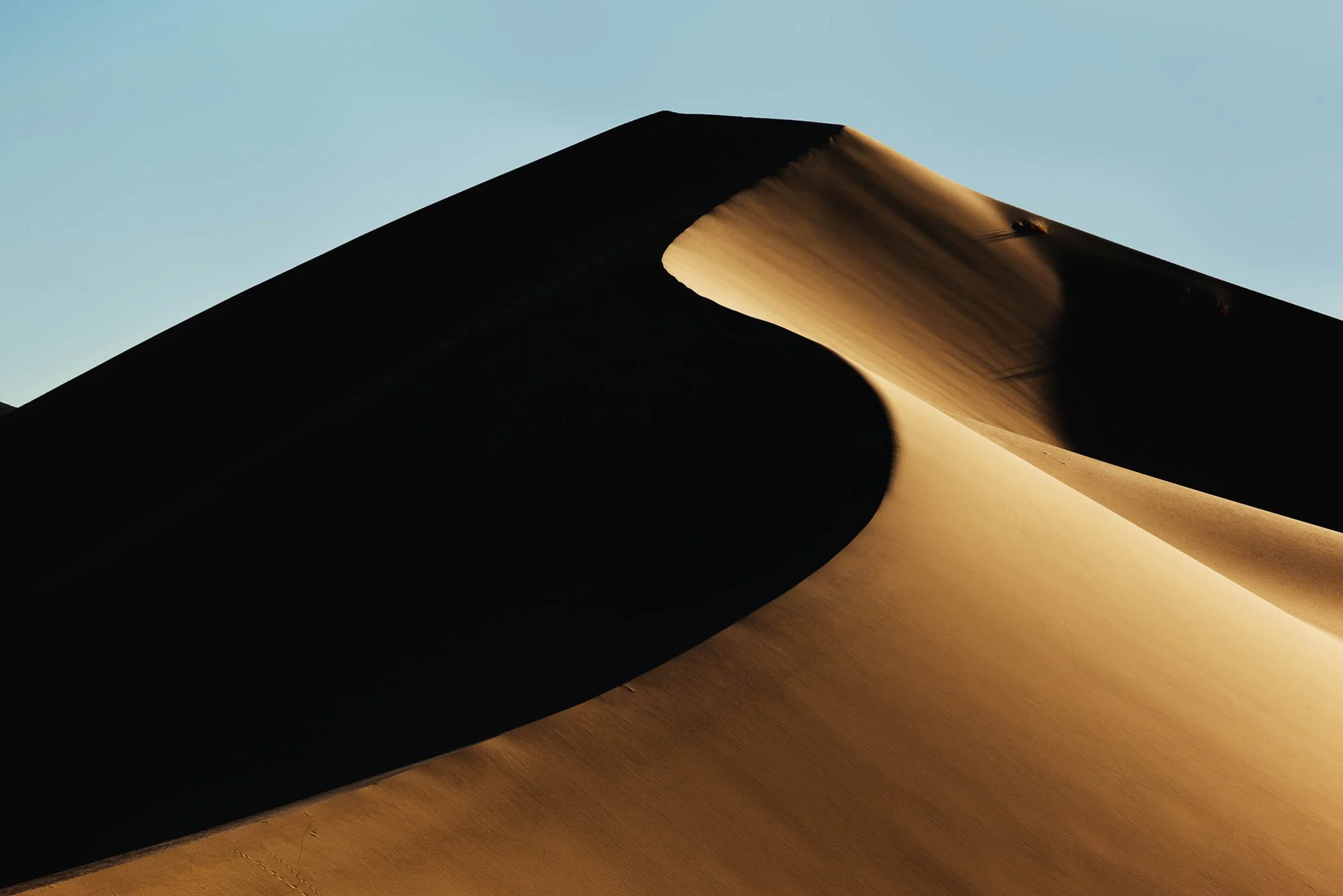 Golden Sand Dune. Ronald Brown Fine Art Photography.jpg