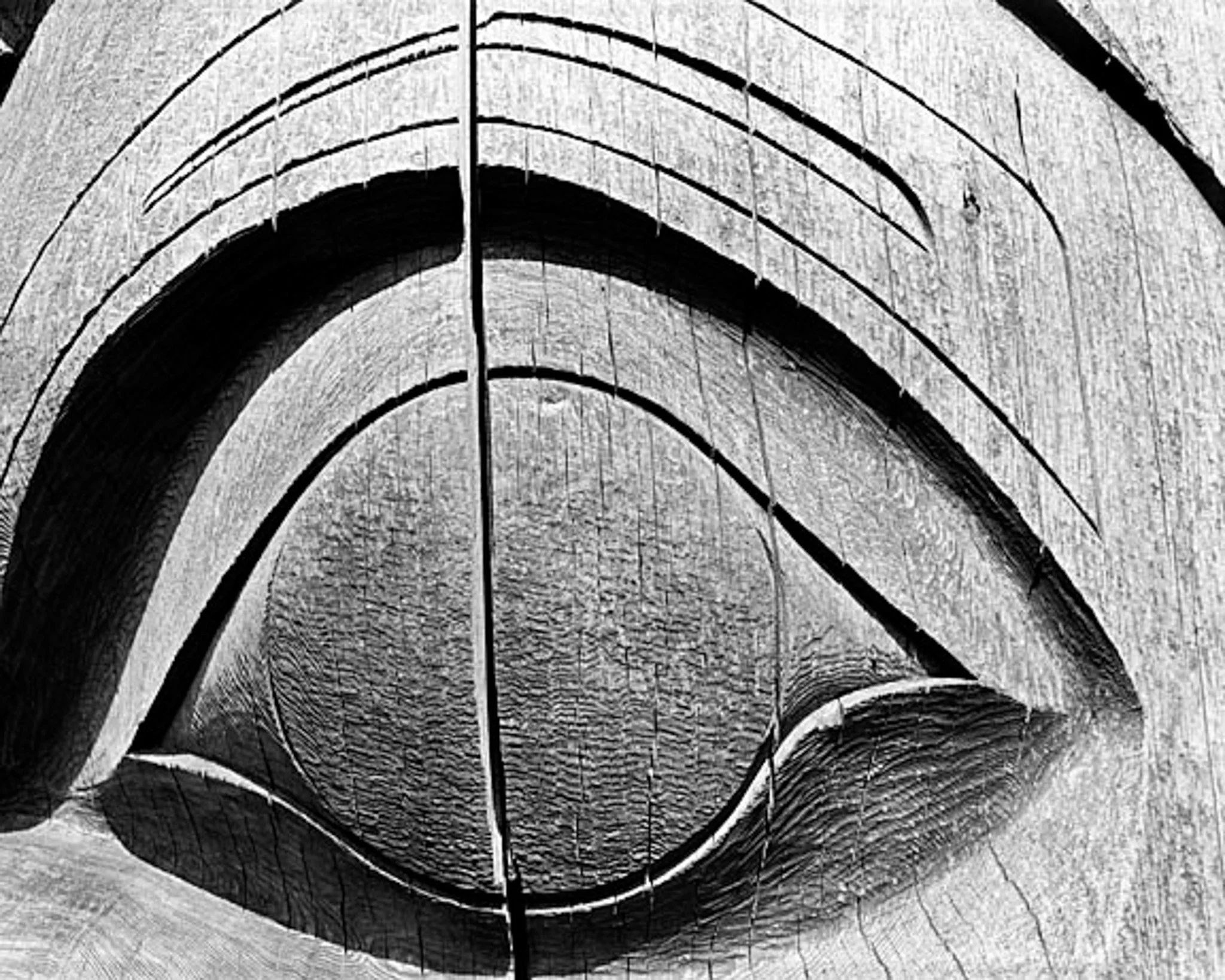 Haiad Eye,  Ronald Brown Photography.jpg