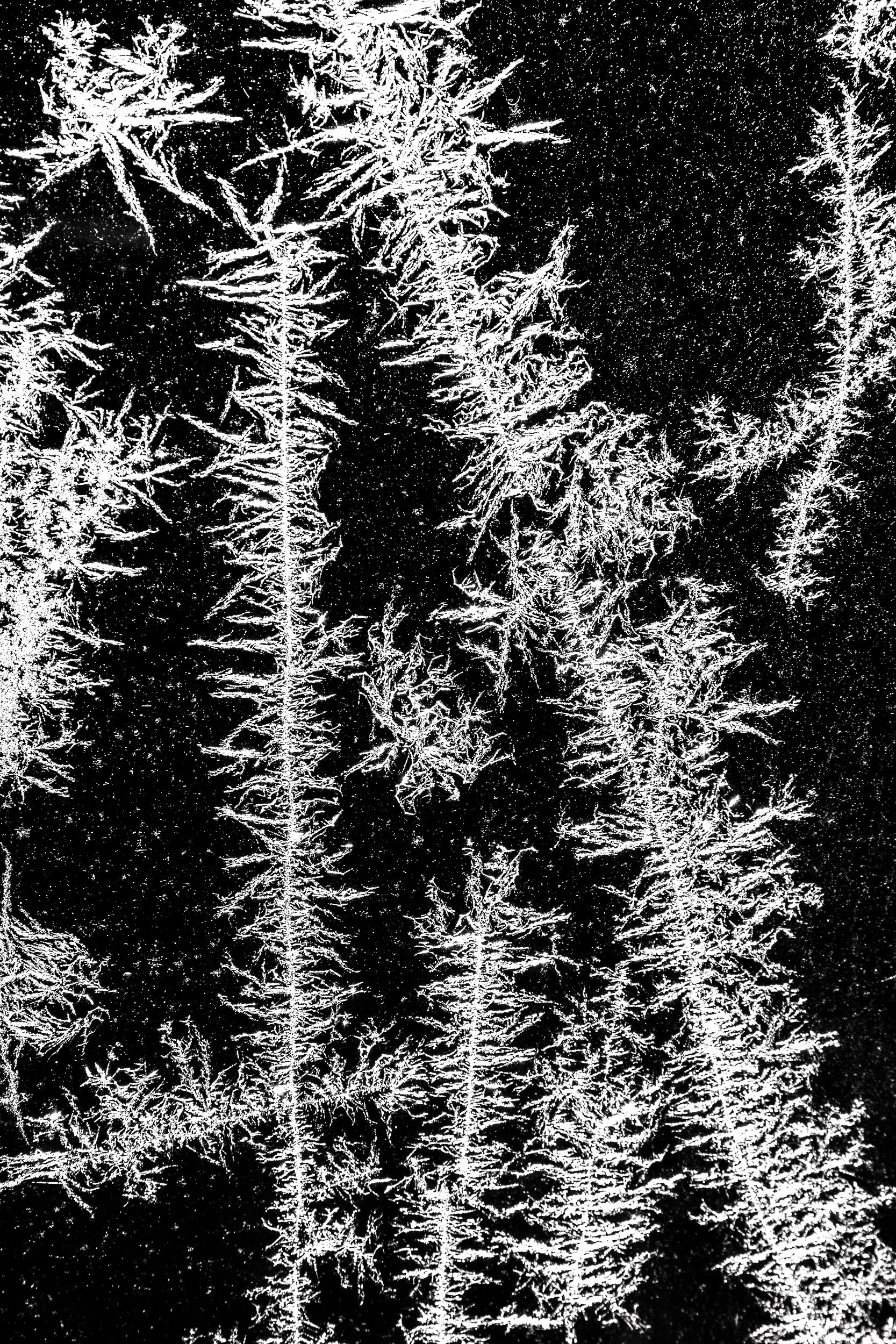 Ice Crystal Abstract, Ronald Brown Photography.jpg