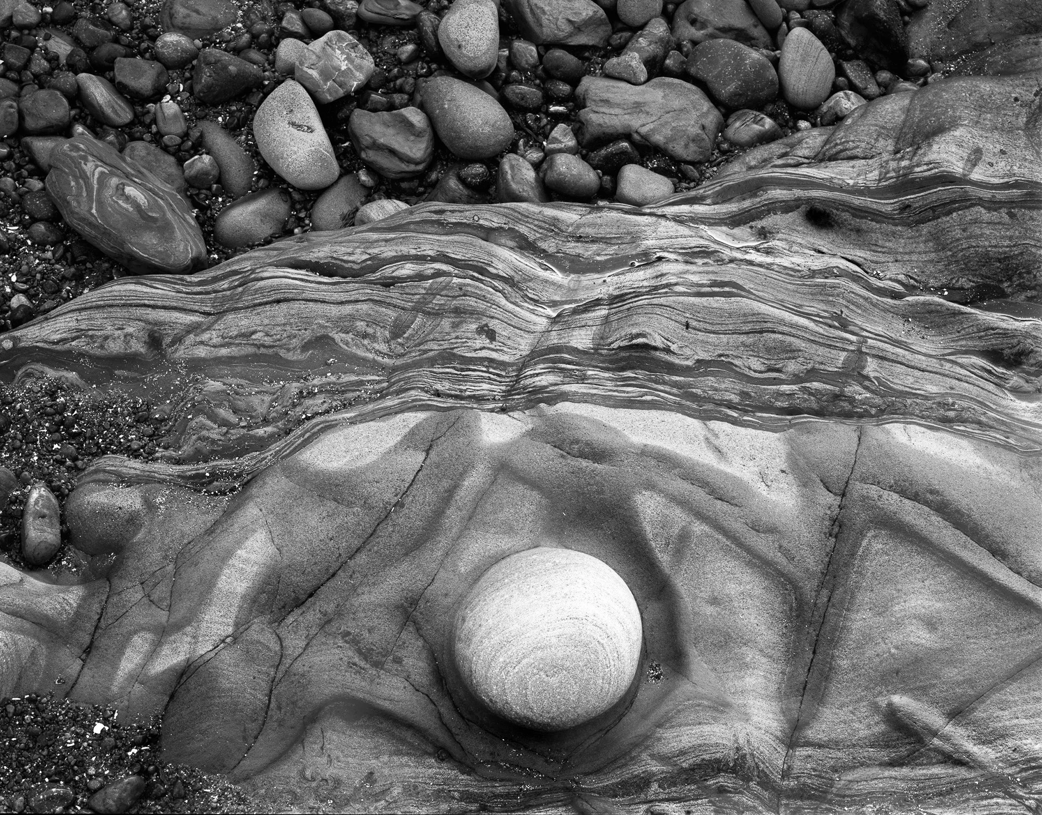 Point Lobos Rock,  Ronald Brown Photography.jpg