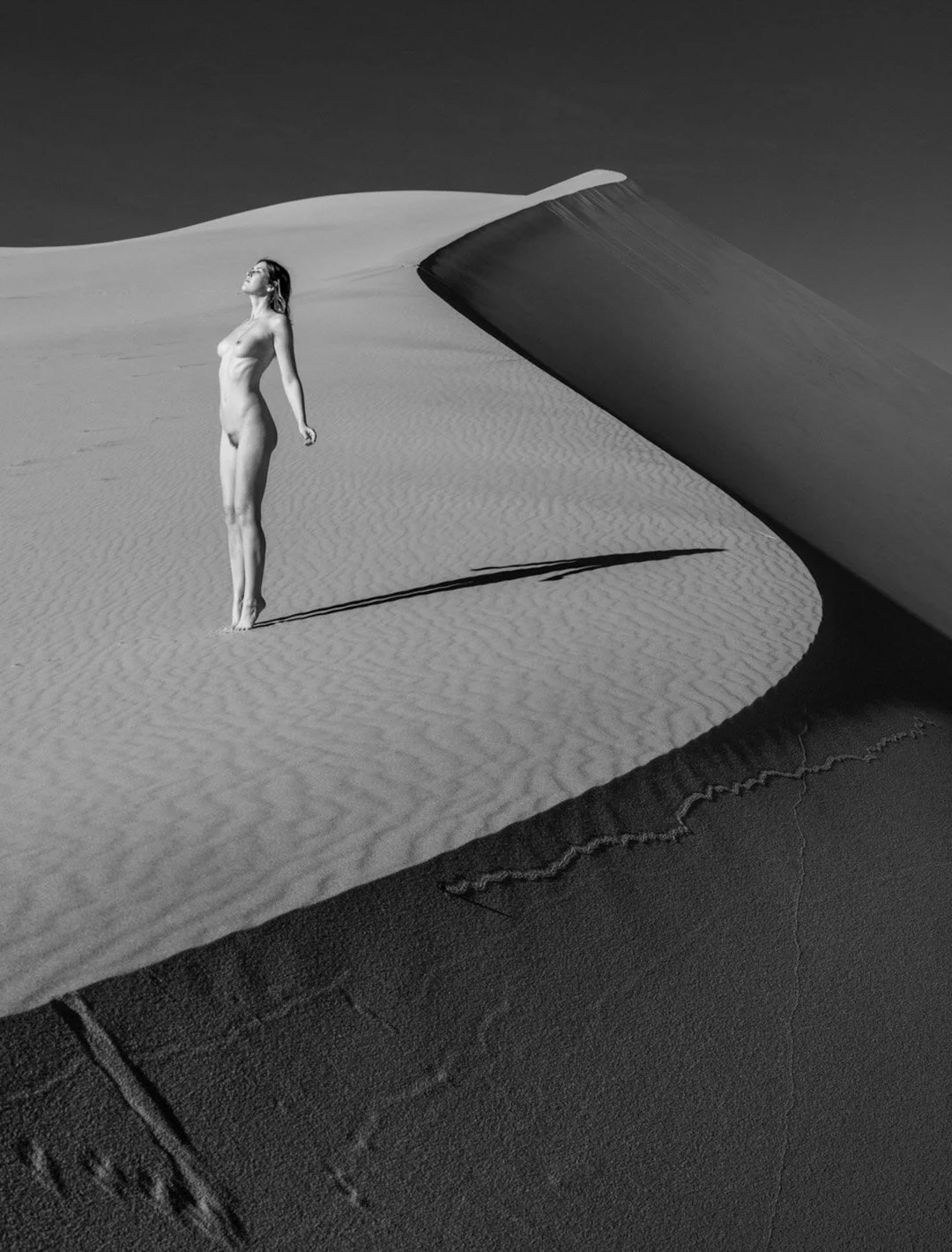 Nude with Dune Curves-1.jpg