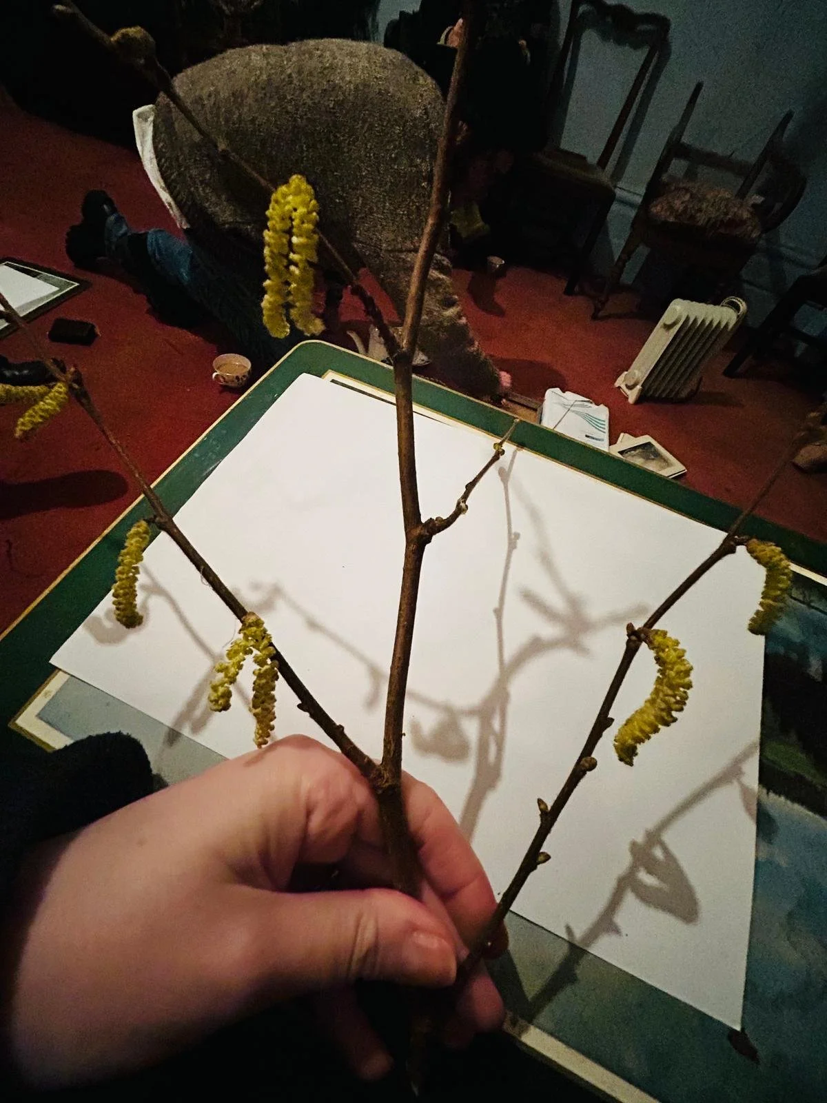 WhatsApp Image 2026-02-07 at 10.55.49 (1).jpeg