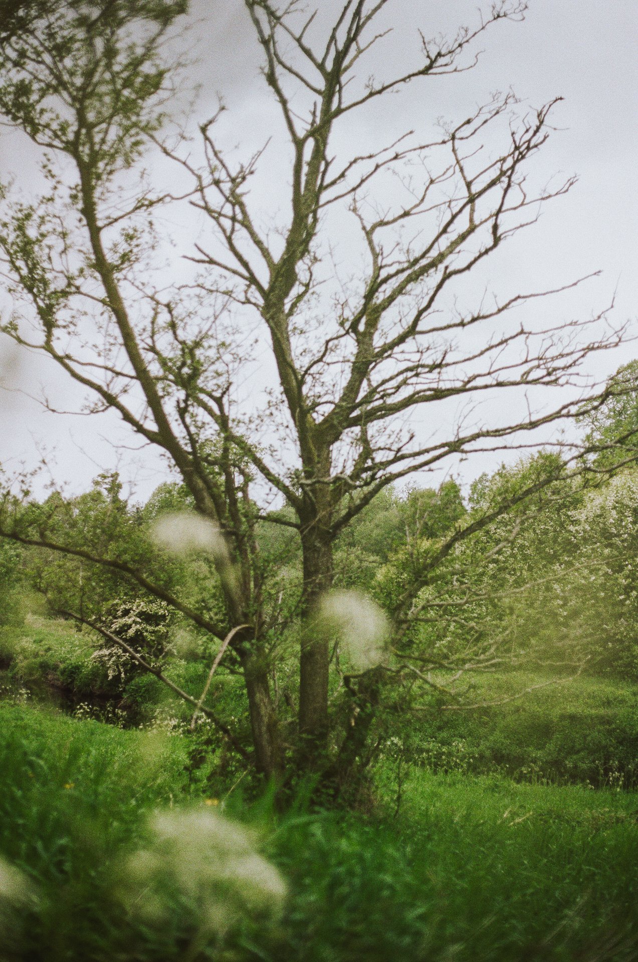 HUMAN-NATURE-35mm-Donna-Ford2026-9.jpg