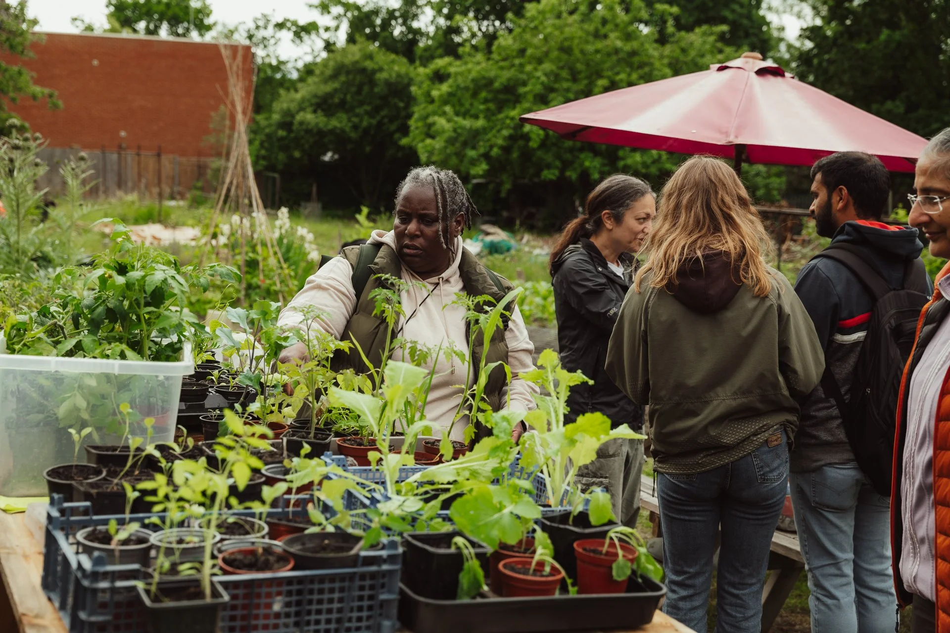 LEE-ALLOTMENTS-OPEN-DAY-Donna-Ford2025-42.jpg