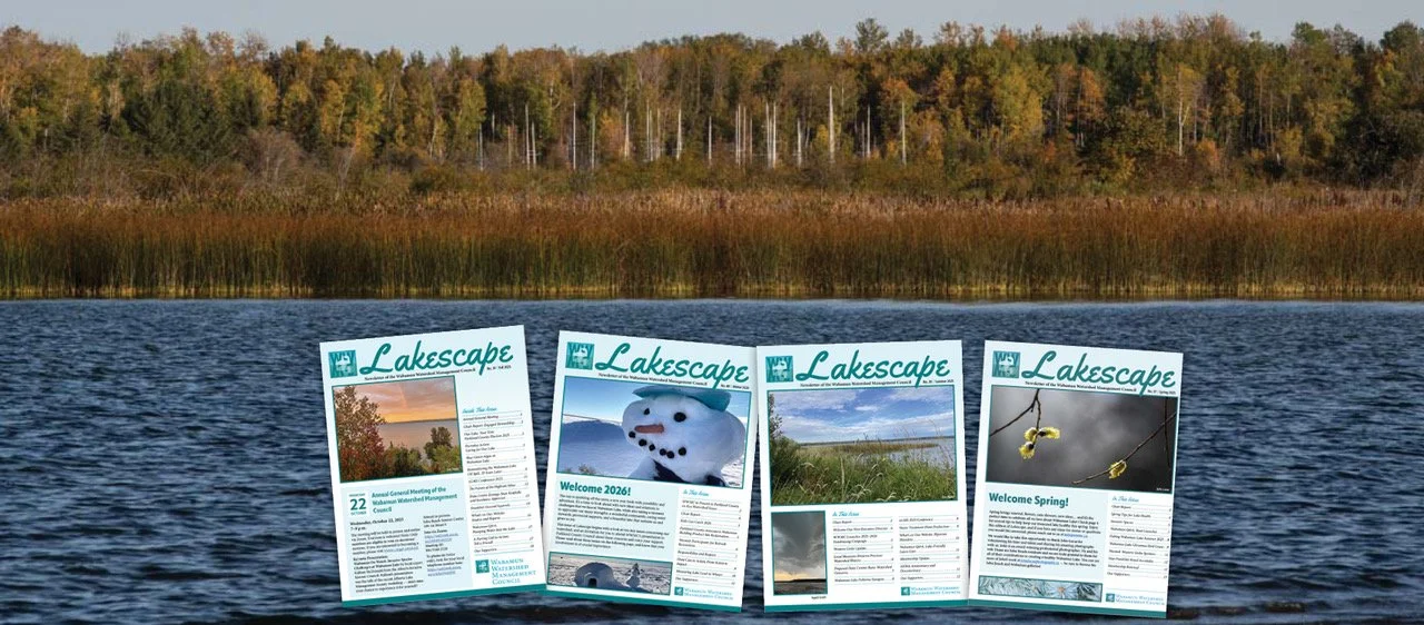   GET THE LATEST LAKE NEWS   Keep up to date on issues and initiatives in the Wabamun watershed.&nbsp;Read the latest issue and past editions. 