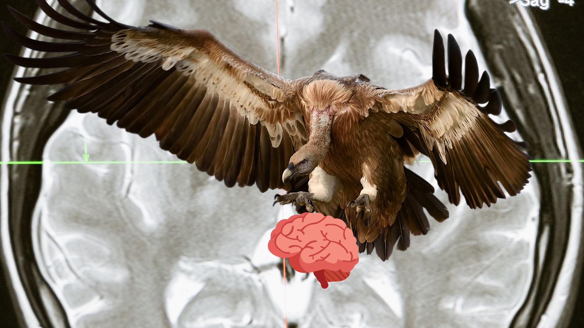 DOUBLE FEATURE: Men of Science, Men of Carcasses + Kevin Evans