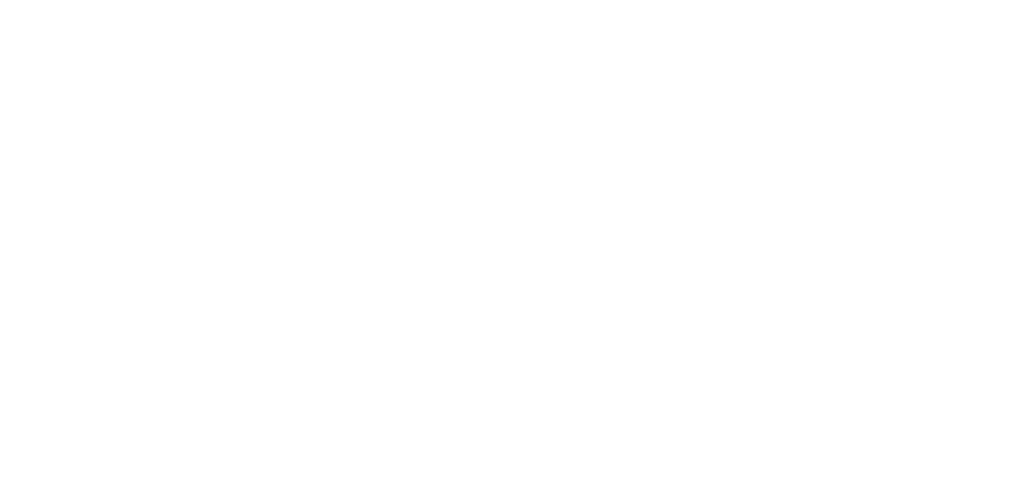 Asheville Fringe Arts Festival