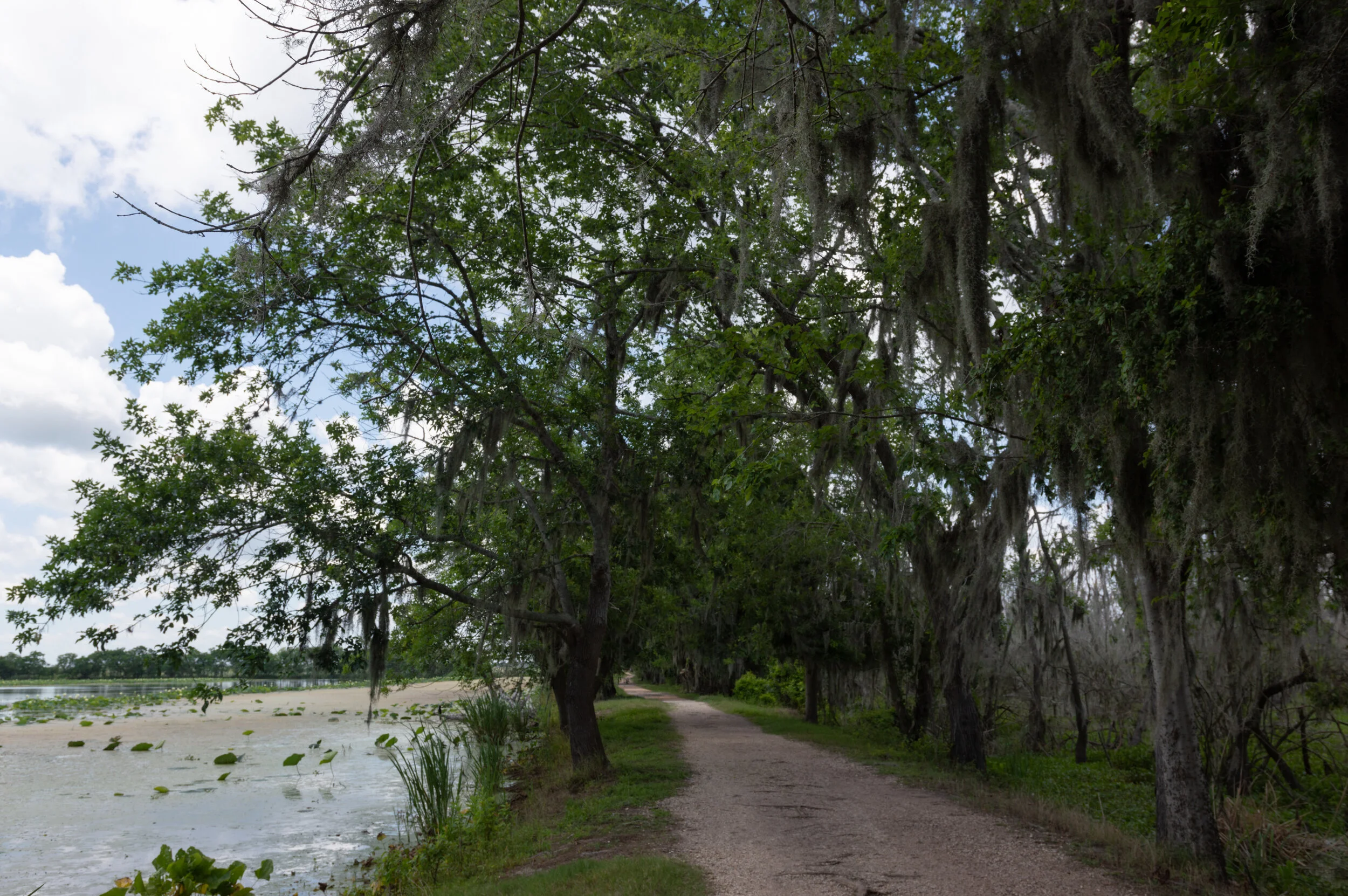 DSC_8203-HDR-2.jpg
