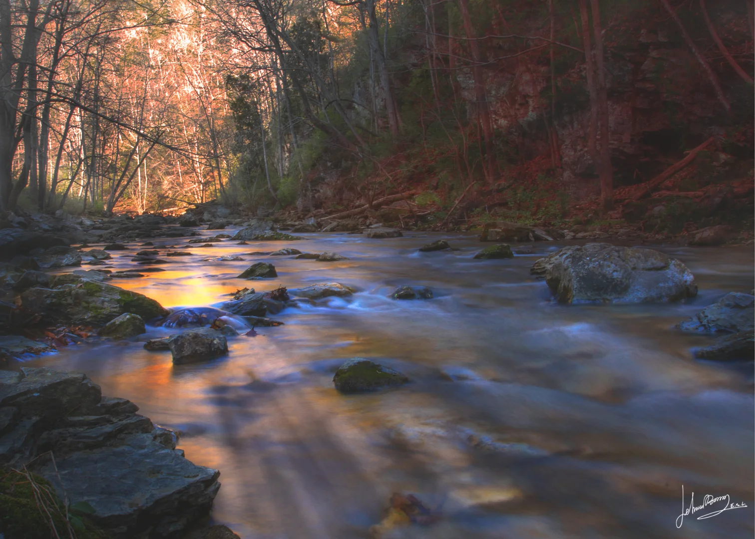 DSC_2207-2.JPG