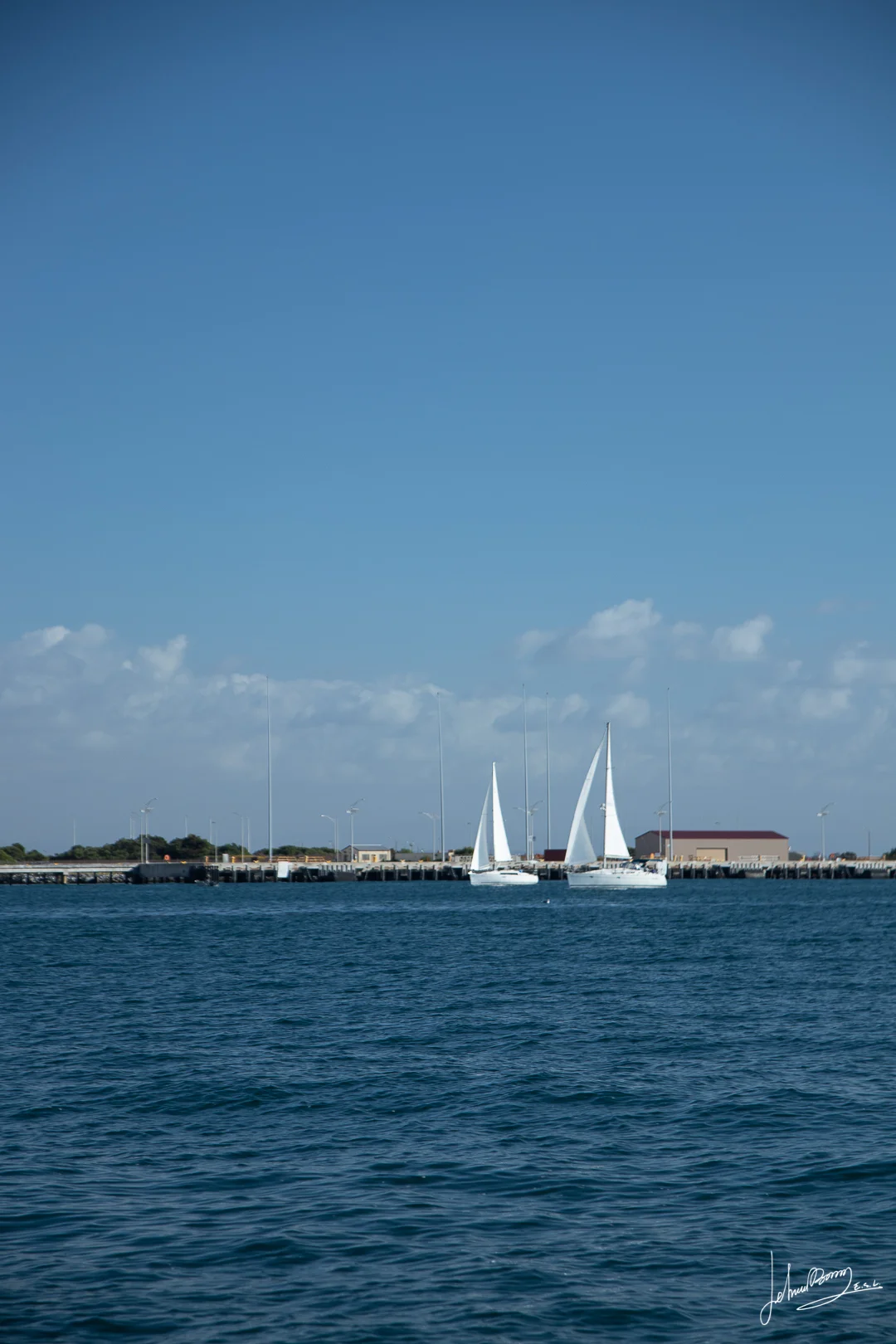 IMG_7999.JPG