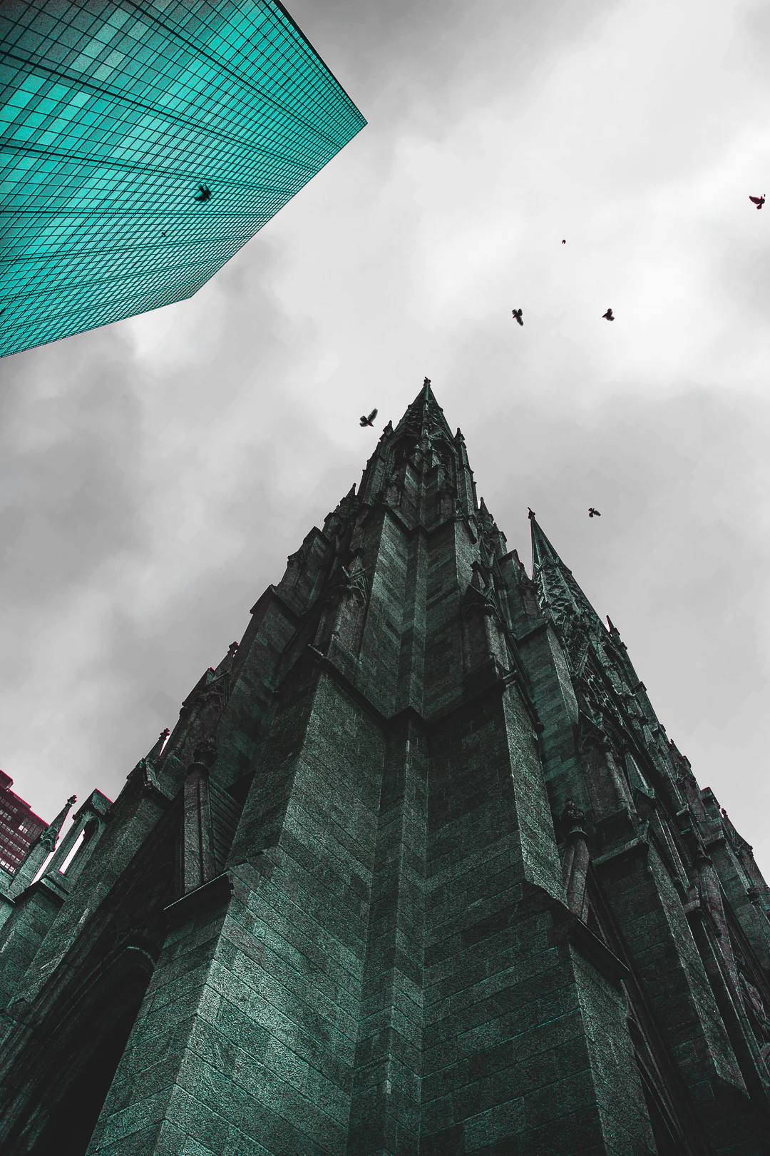 ERIC0779-Edit.JPG