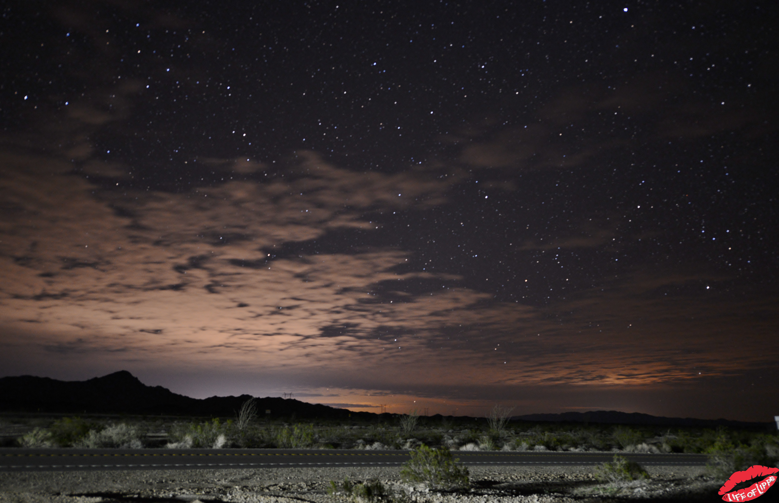 DSC_8172.png