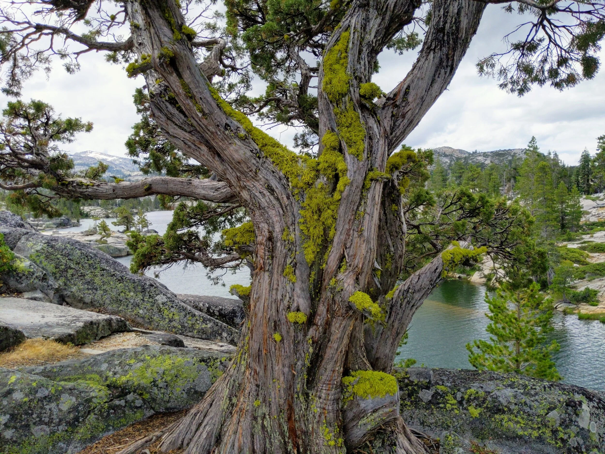 IMG_20190810_120126 (2).jpg