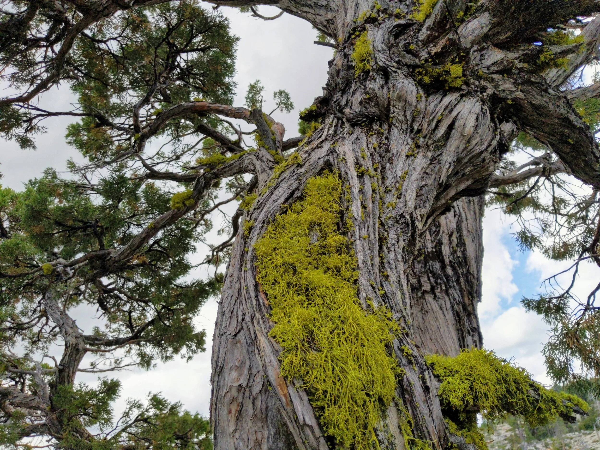 IMG_20190810_120233 (2).jpg