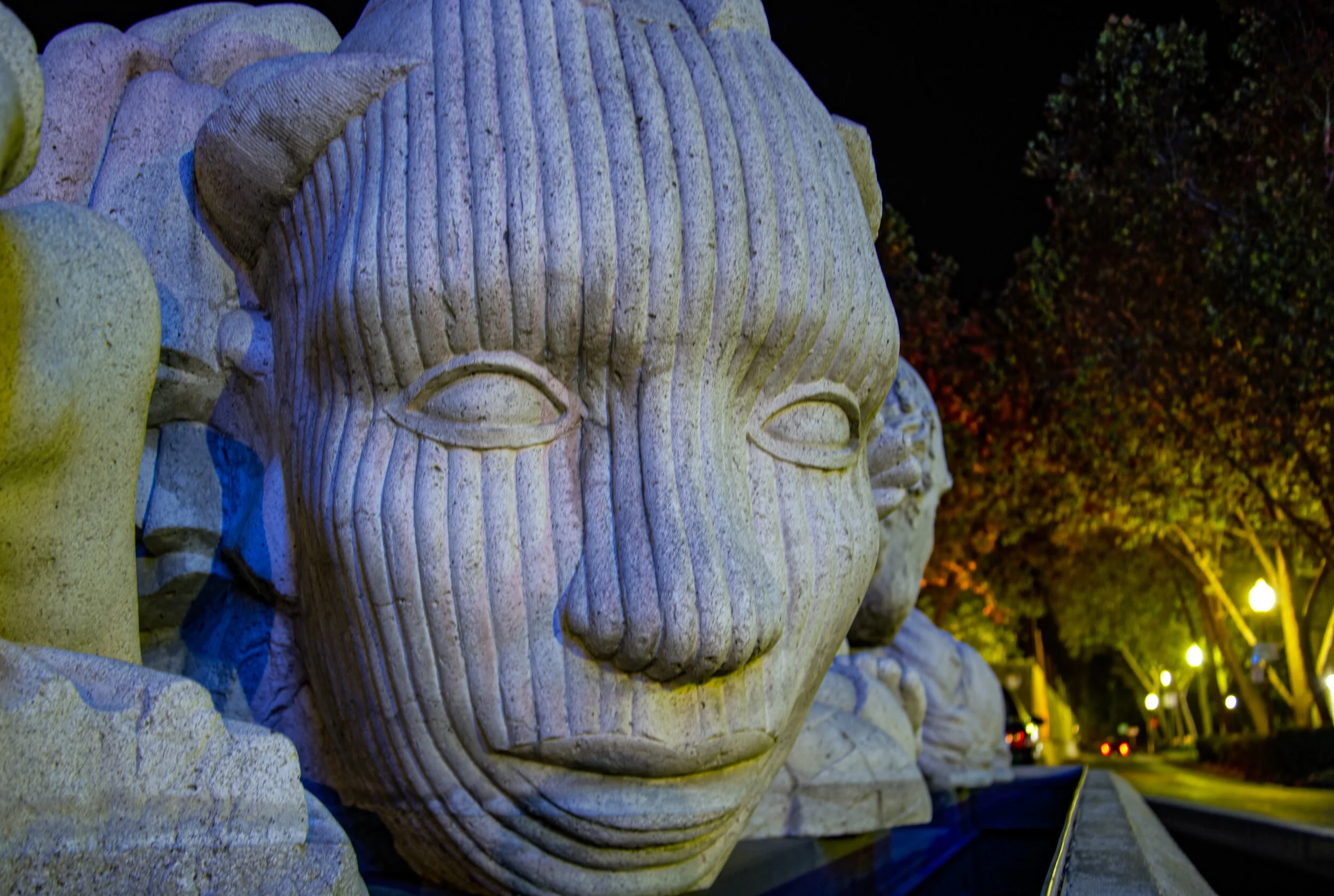 DSC_6012 (2).jpg