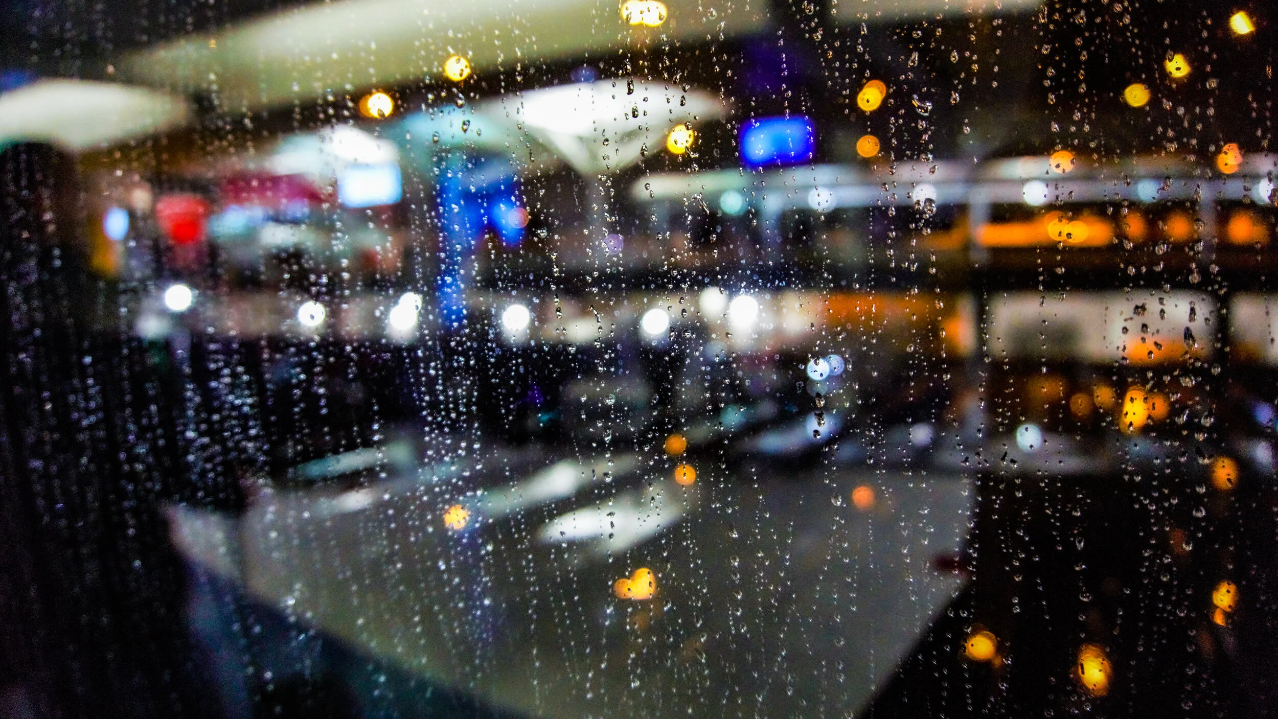 DSC00201 (2).jpg