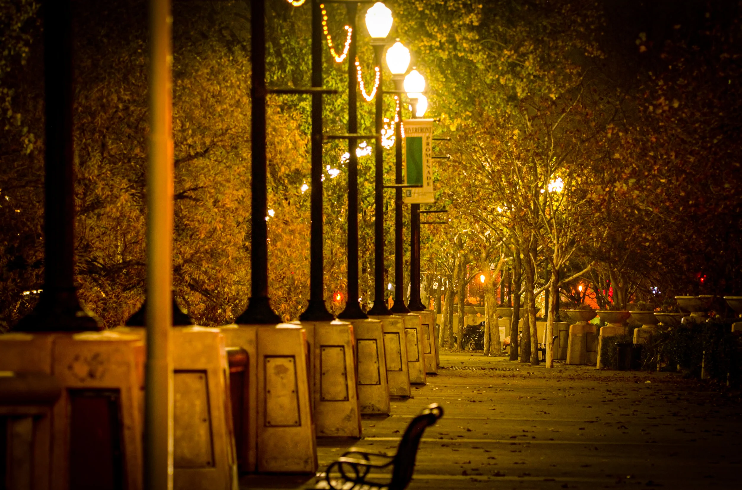 DSC_6734 (2).jpg