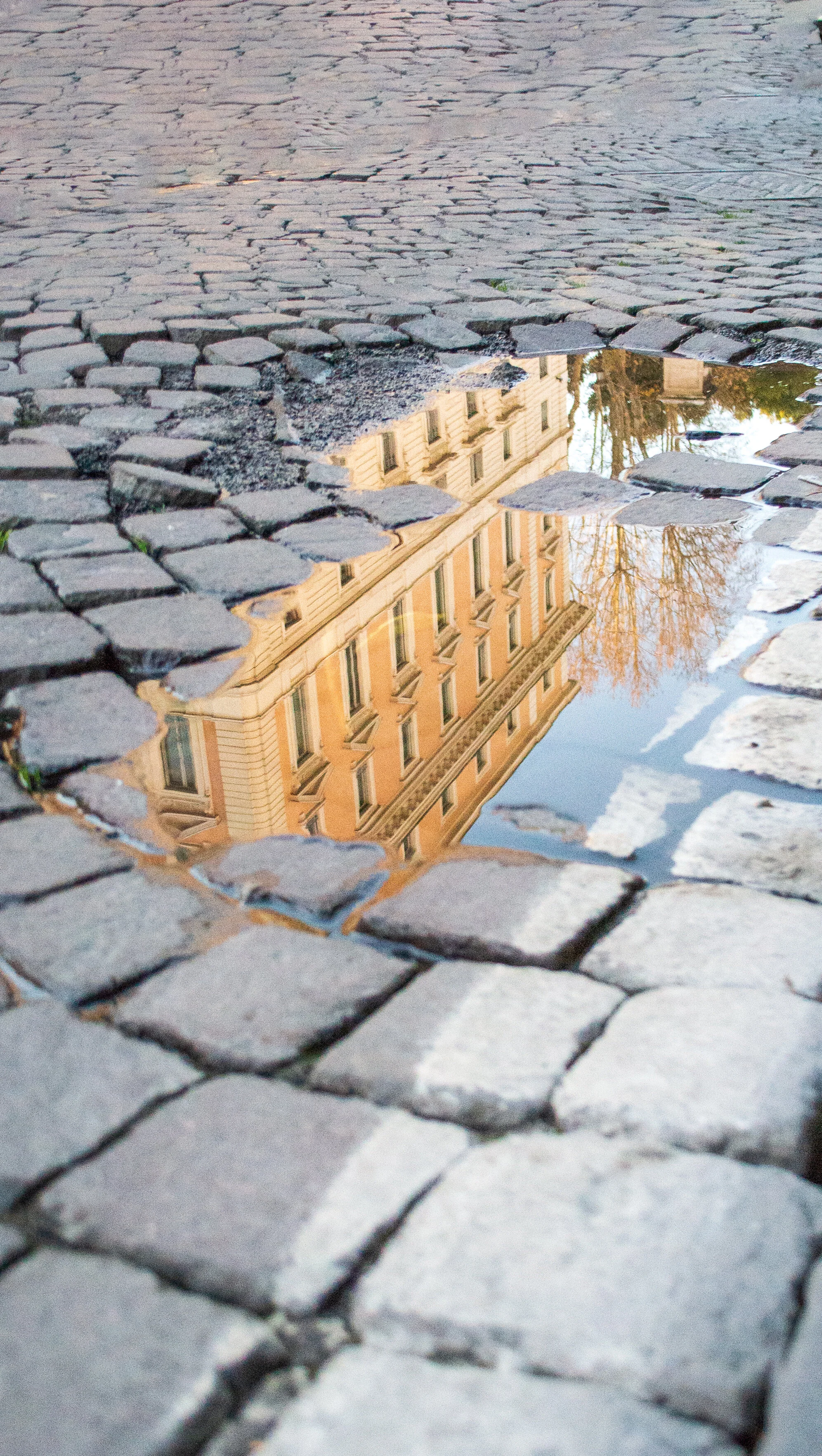 Final Render Water Puddle Reflection.jpg