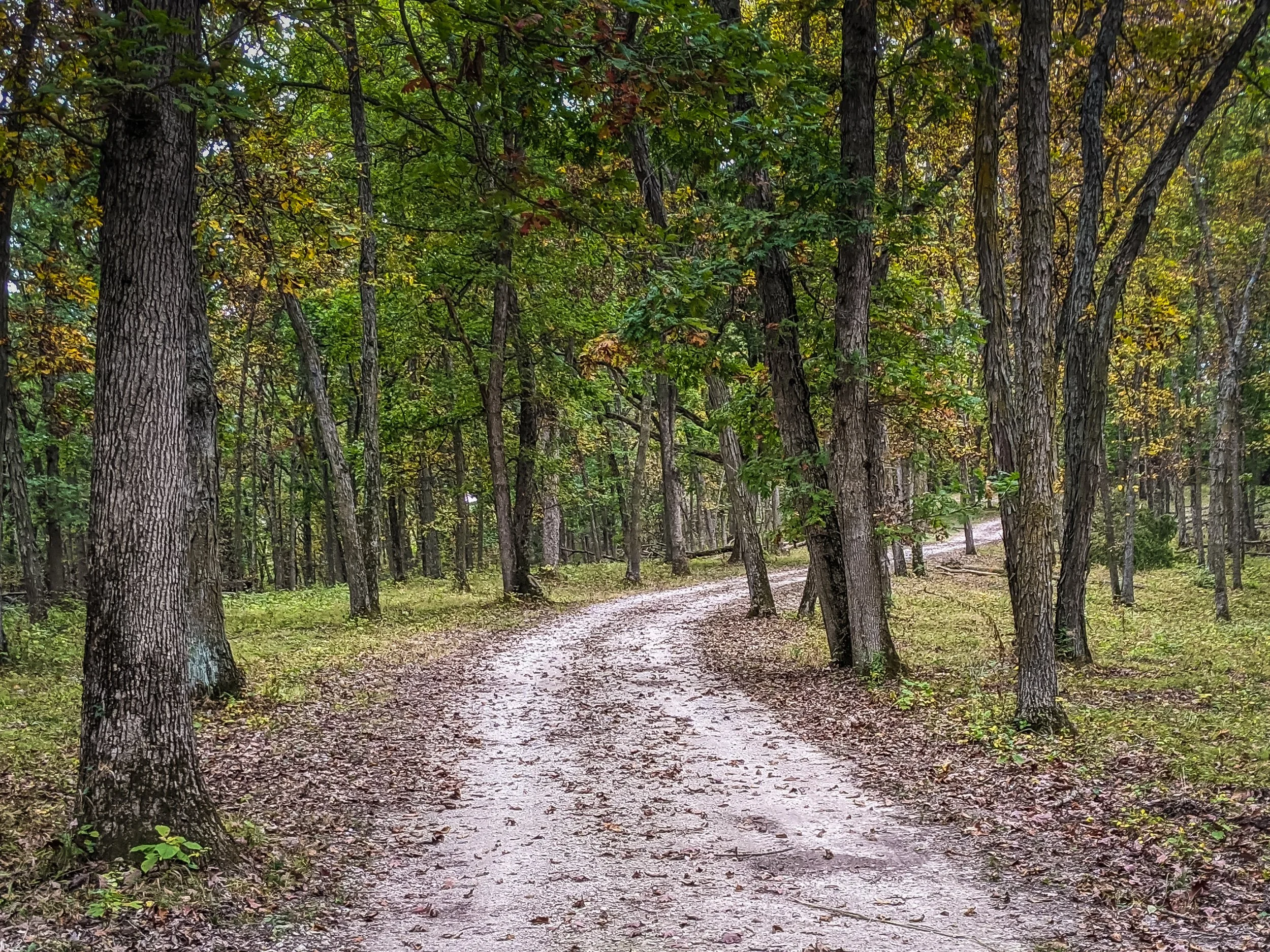 Lrc Edited-223623269.JPG