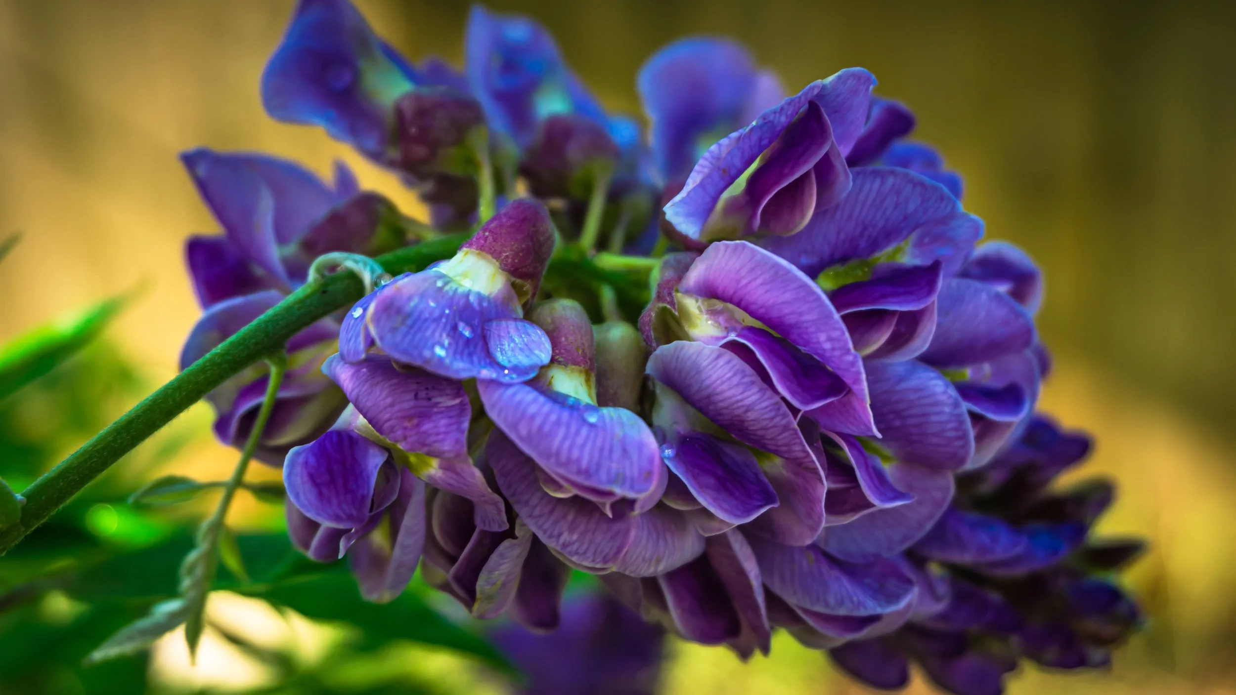 Lrc Edited-02400.JPG