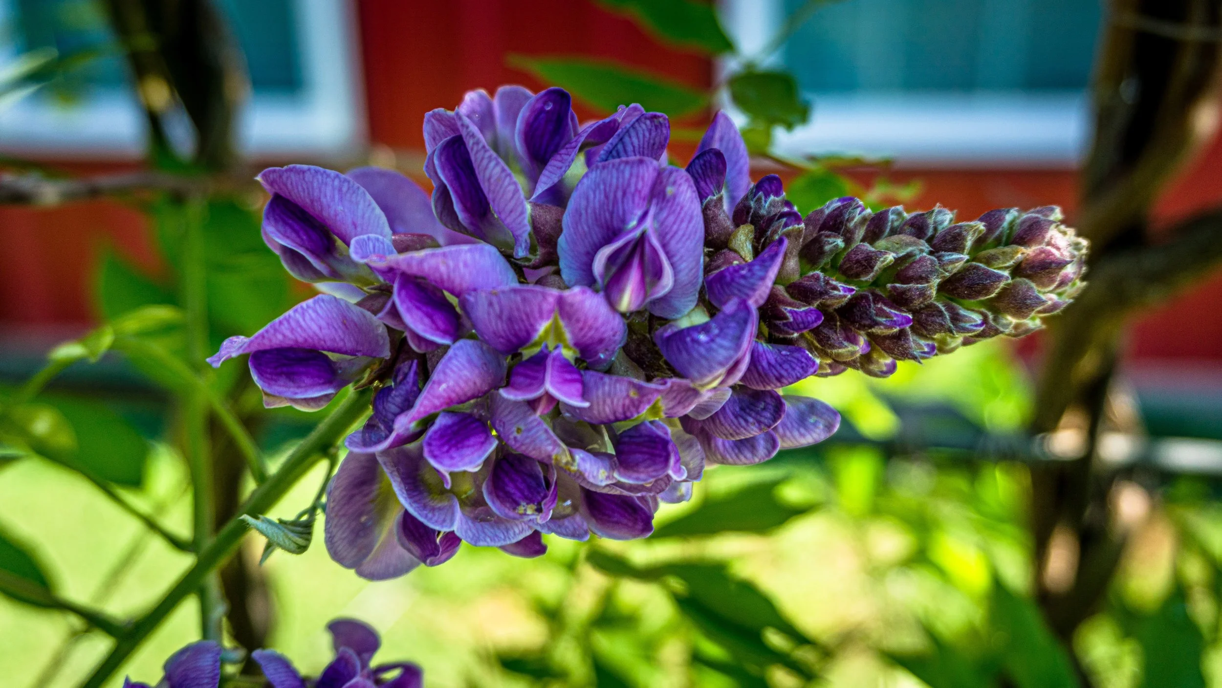 Lrc Edited-02418.JPG