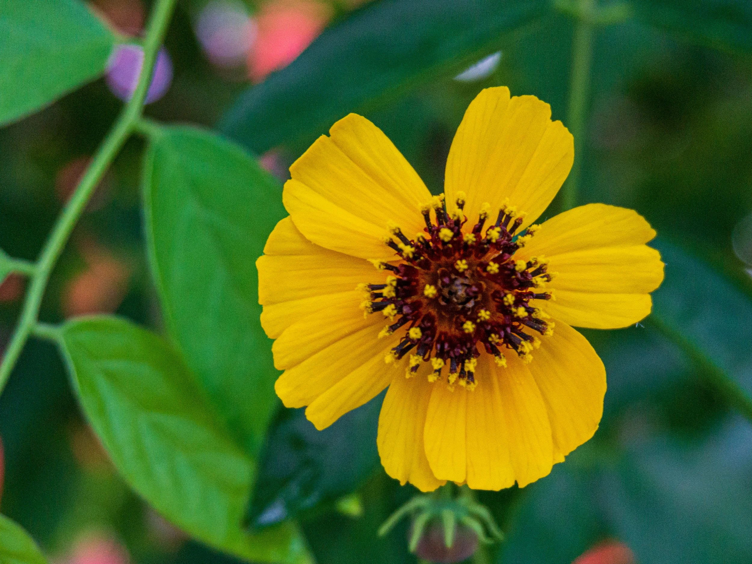 Lrc Edited-02778.JPG