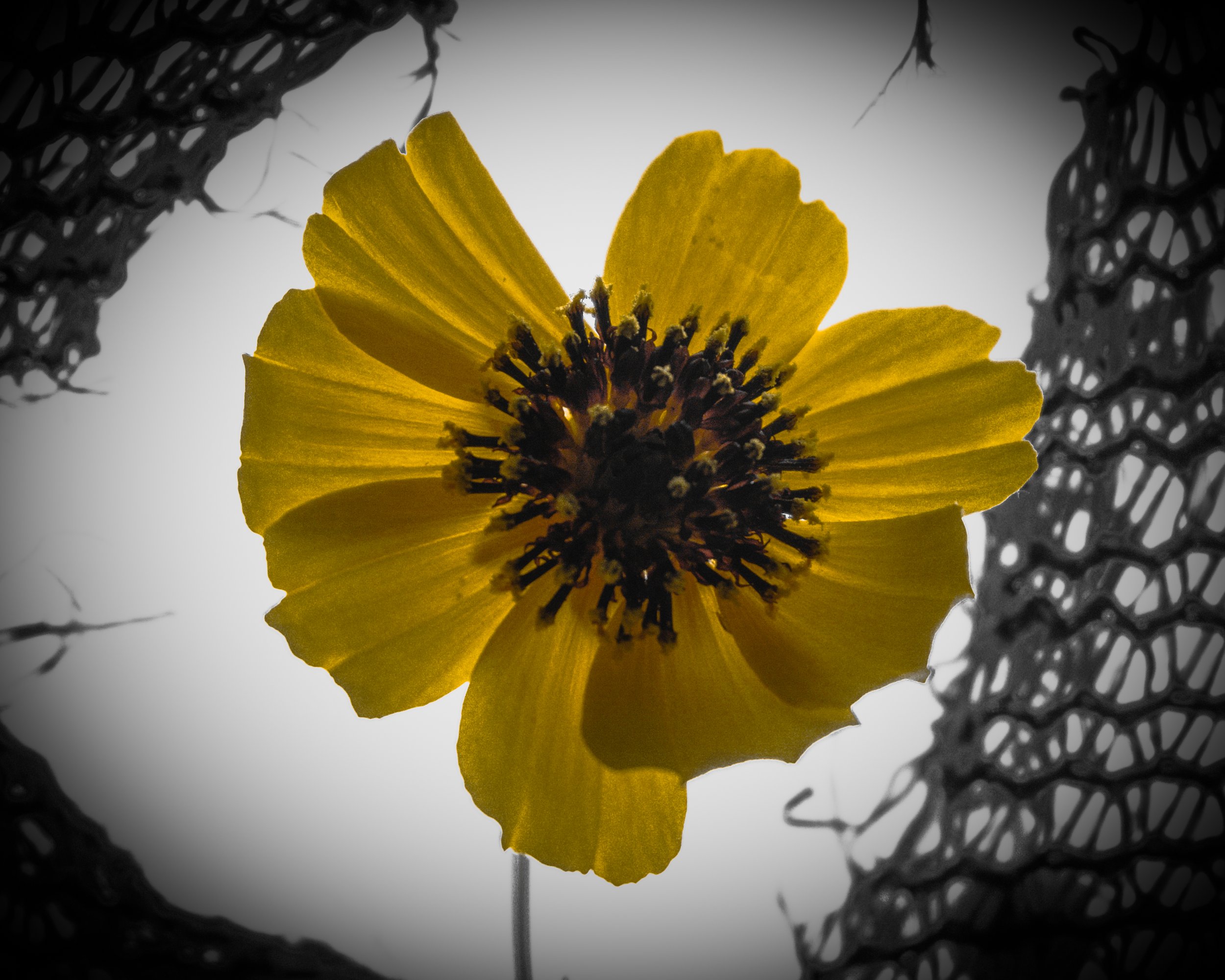 Lrc Edited-02787.JPG