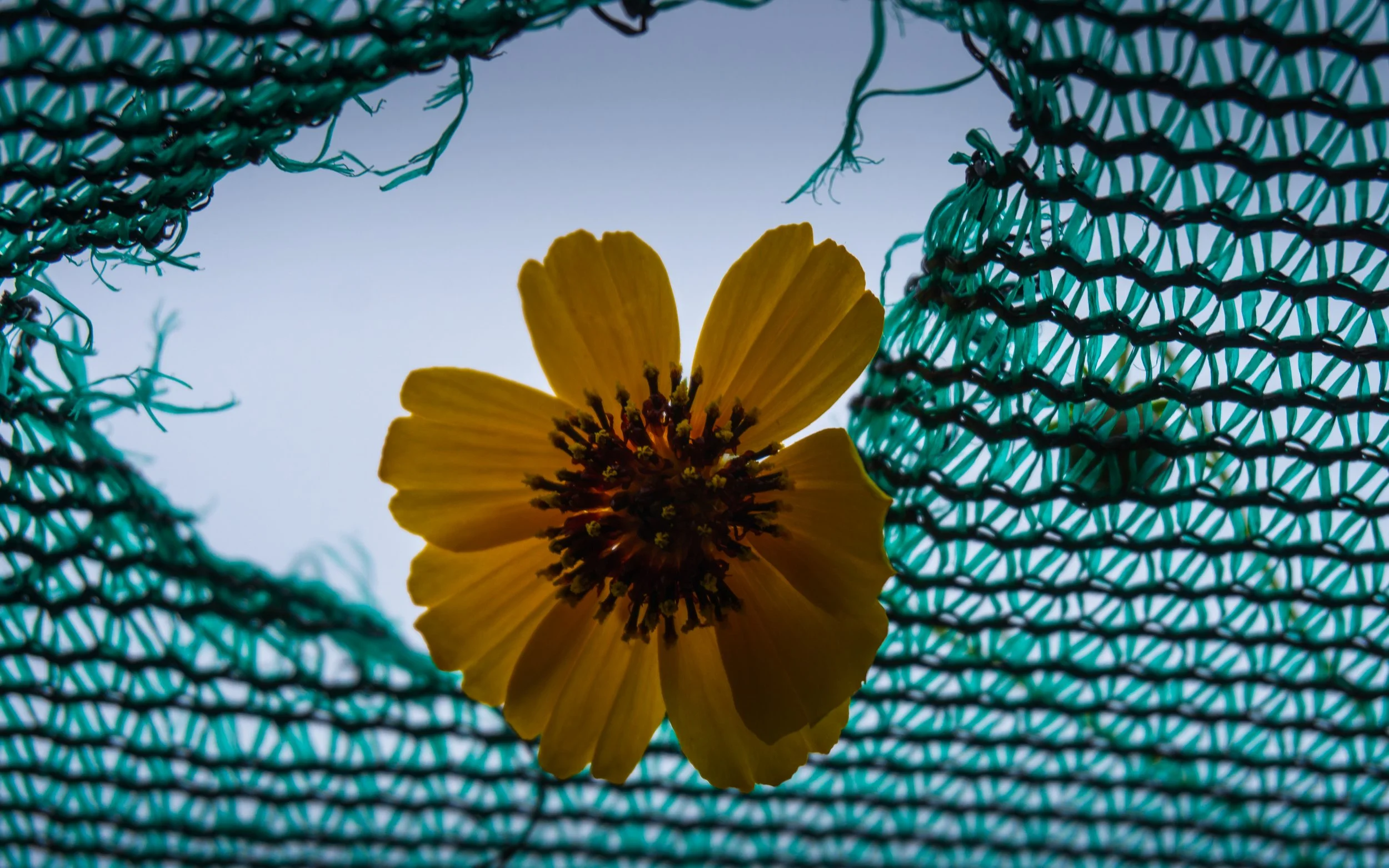 Lrc Edited-02789.JPG