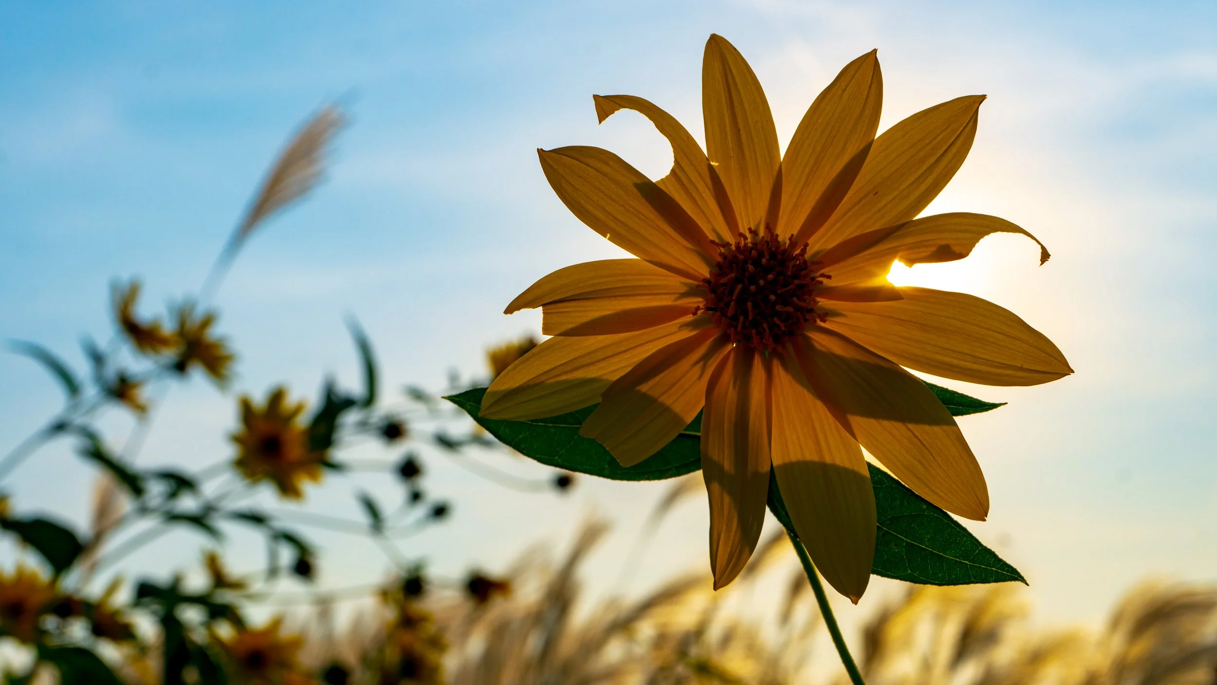 Lrc Edited-03434.JPG