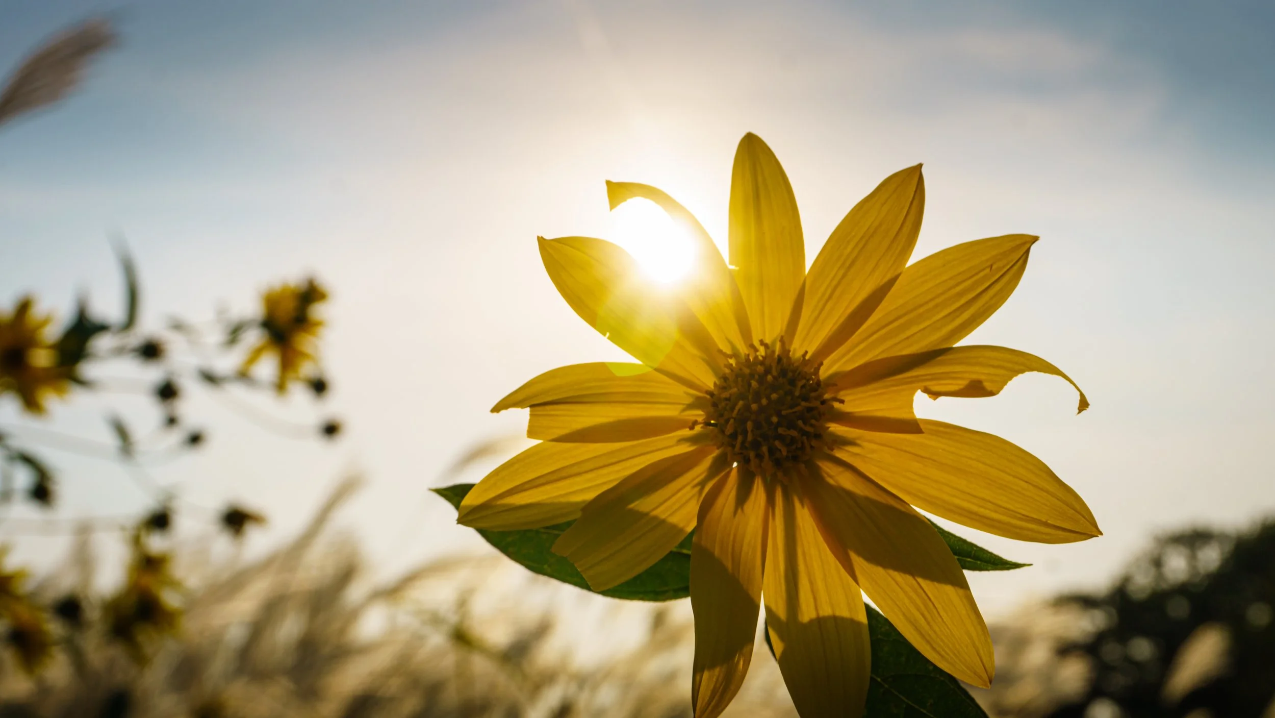 Lrc Edited-03437.JPG