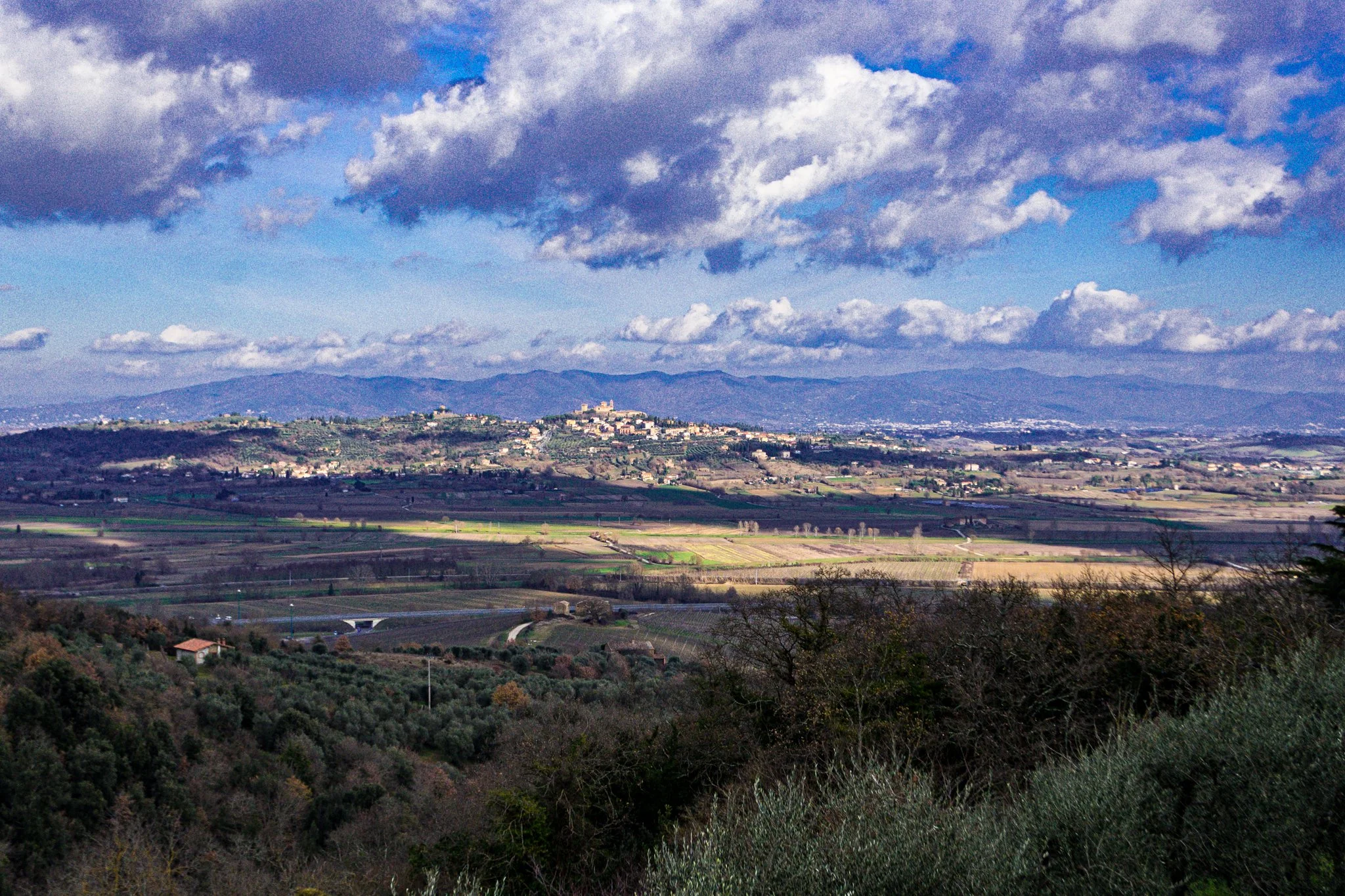 DSC_7243.jpg