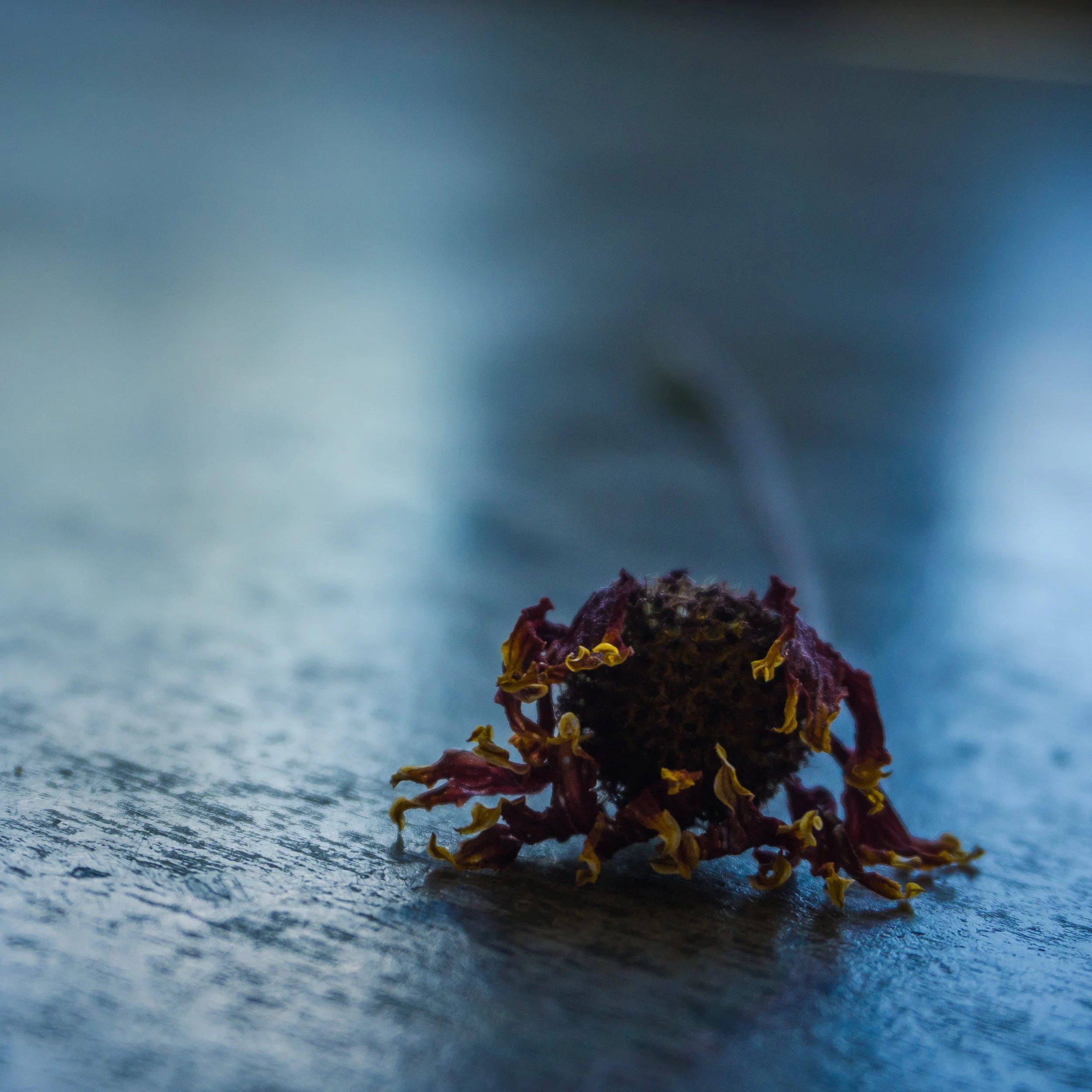 Lrc Edited-03011.JPG