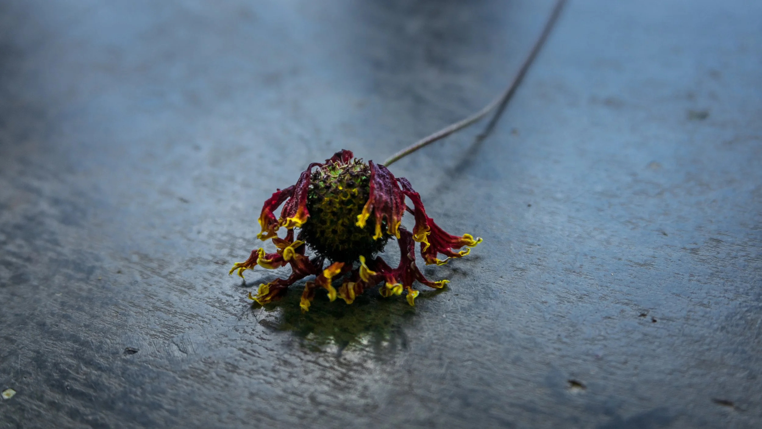 Lrc Edited-03001.JPG