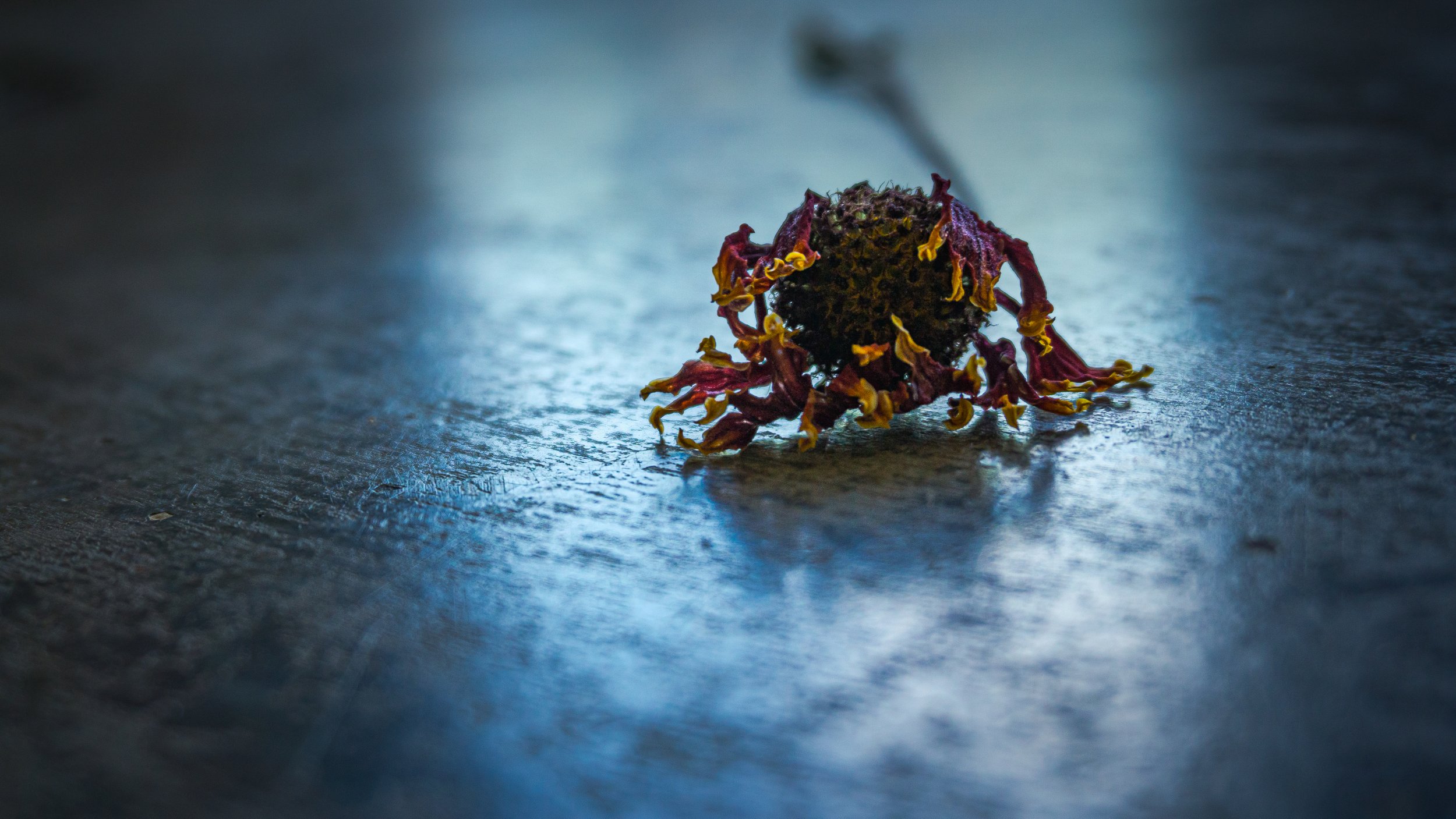 Lrc Edited-03013.JPG