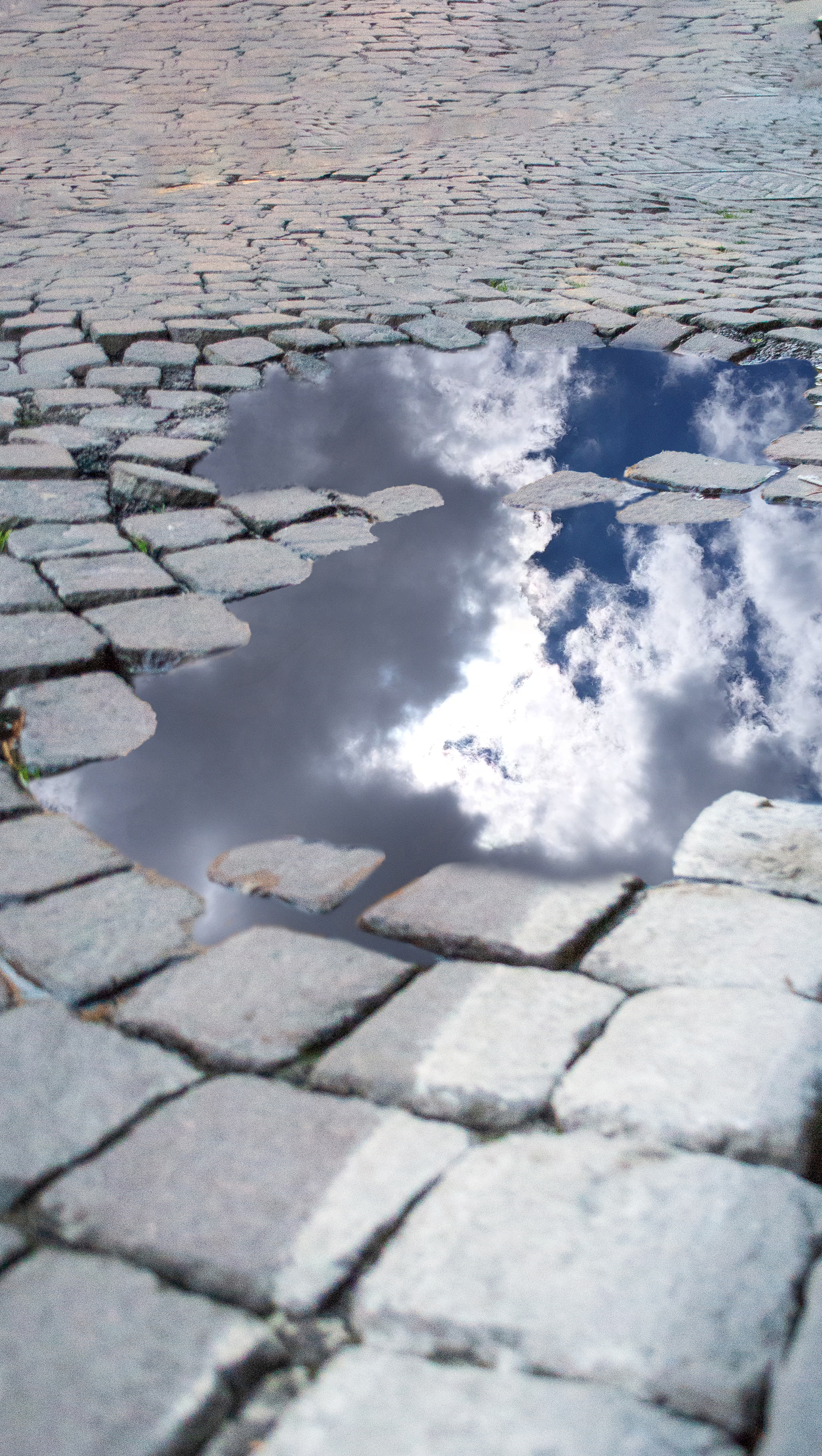 Final-Render-Water-Puddle-Reflection.png