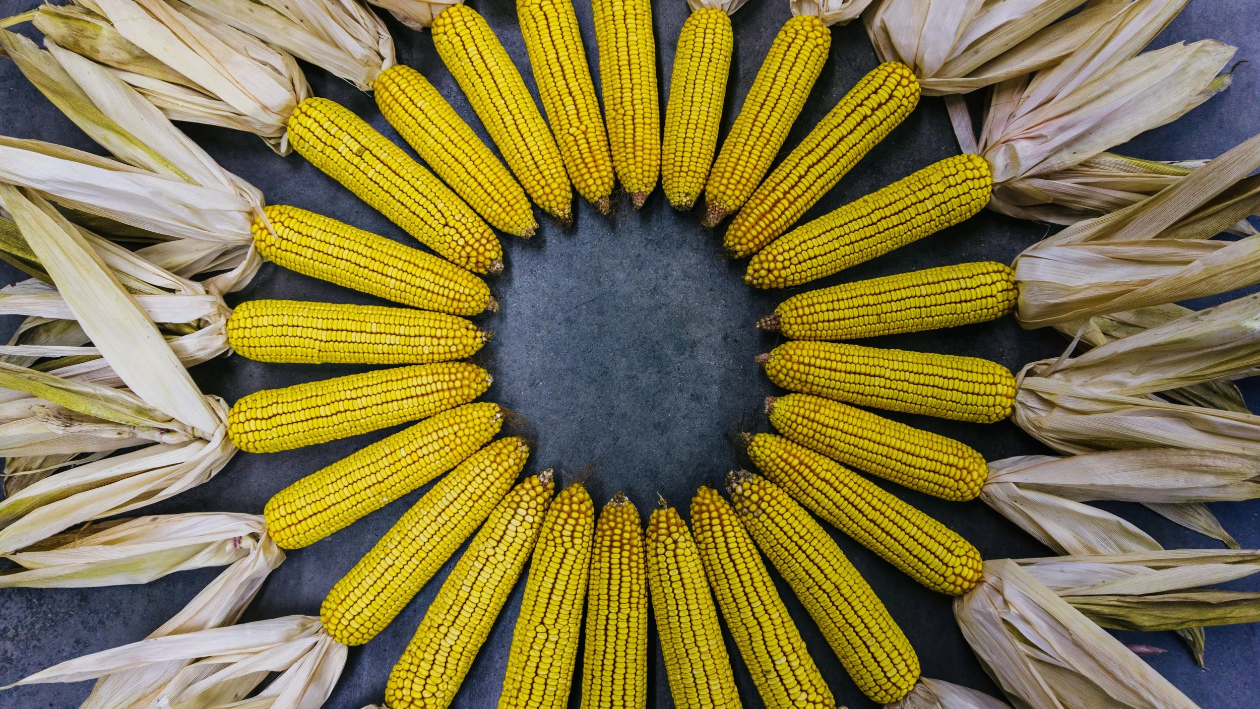 Lrc Edited-03937.JPG