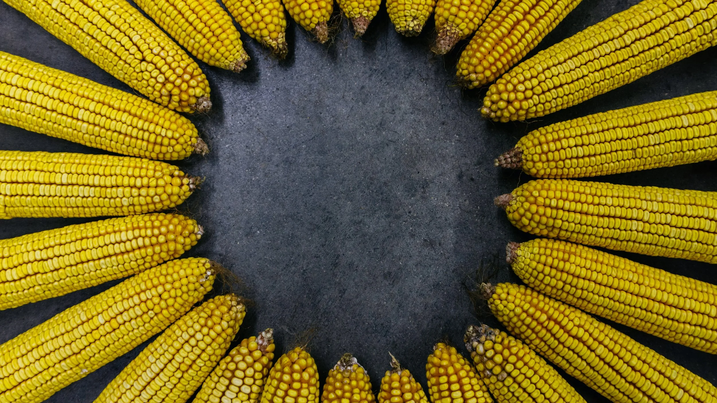 Lrc Edited-03938.JPG