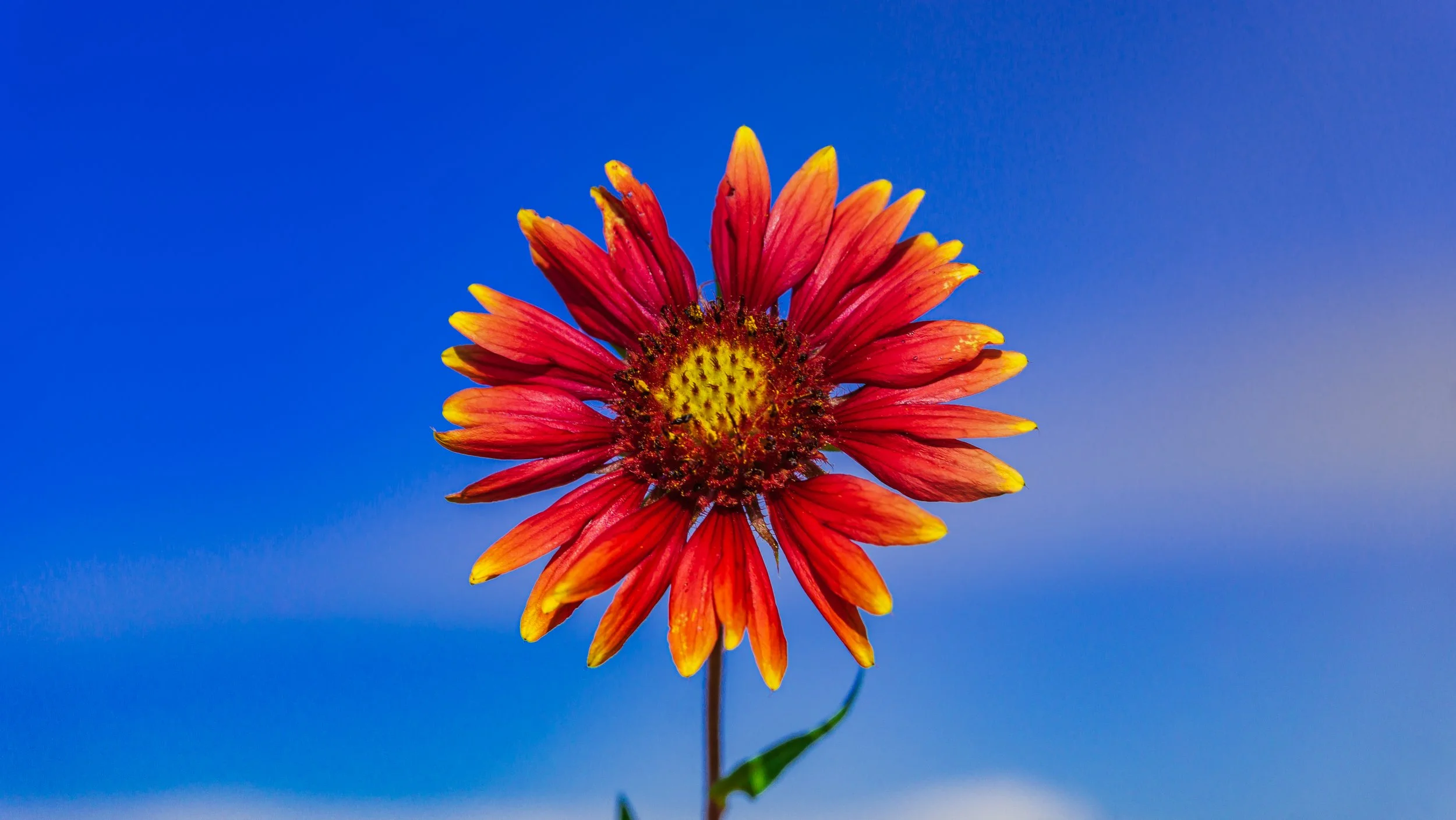 Lrc Edited-02565.JPG