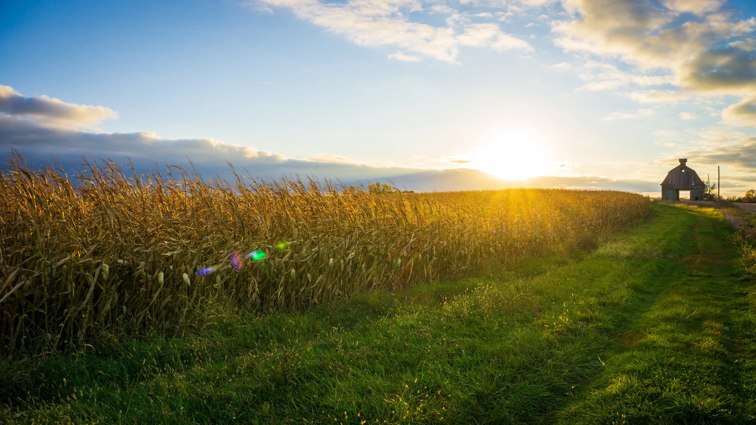 Lrc Edited-03895.JPG