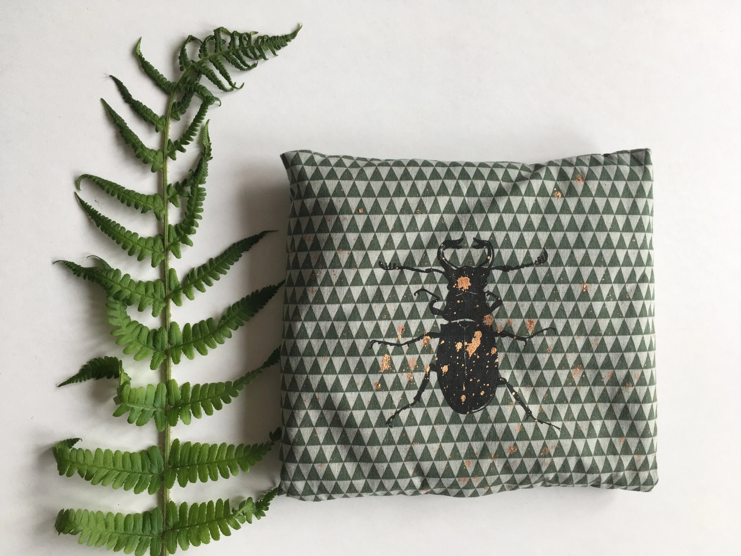 C55CB2FC-D158-4DC7-B383-875008CB10BC