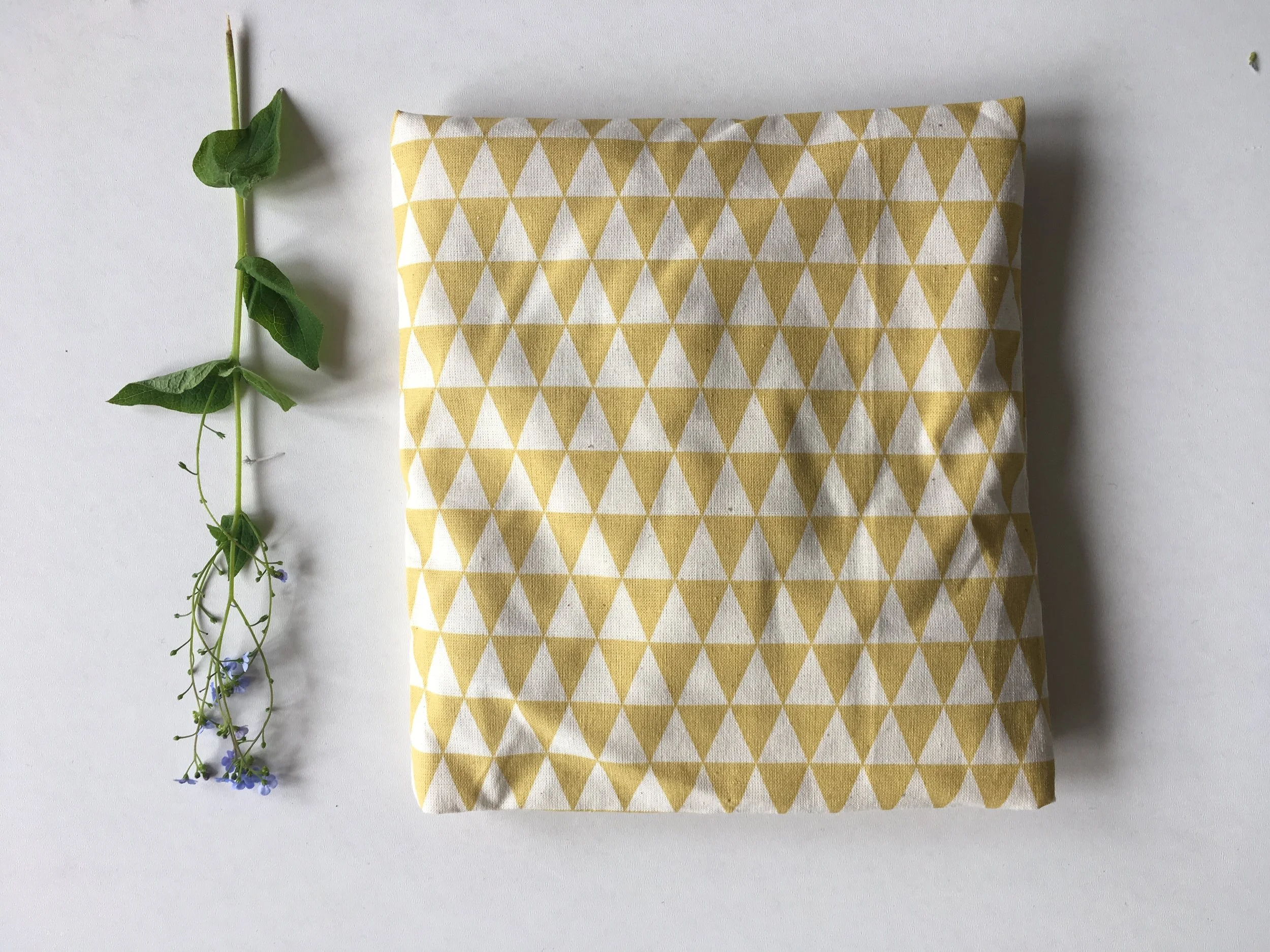 D5F305E2-3B74-48C4-9E7A-56D900E771C2