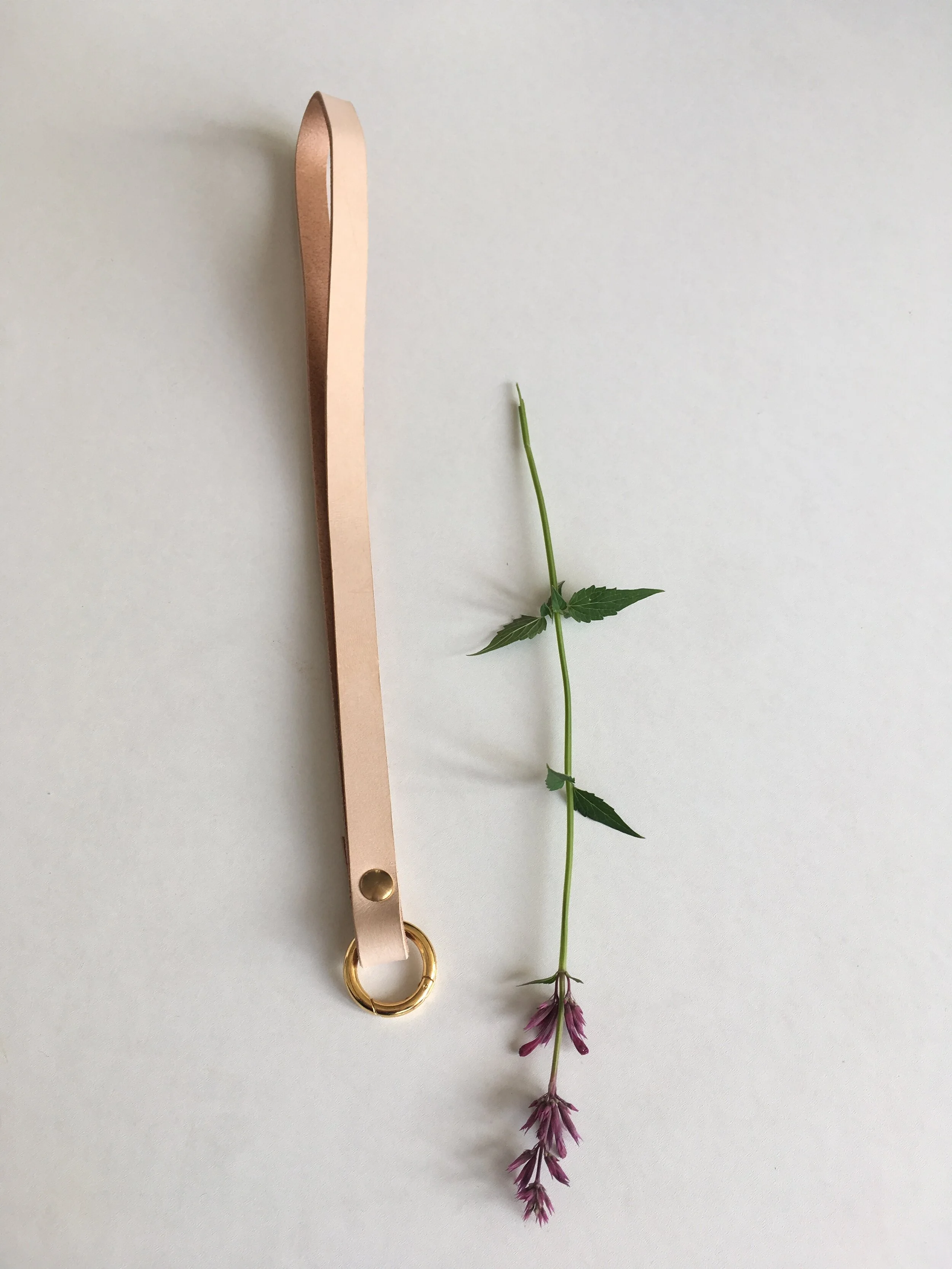 E4C7BC05-573B-4517-AA0E-53D45C44207C