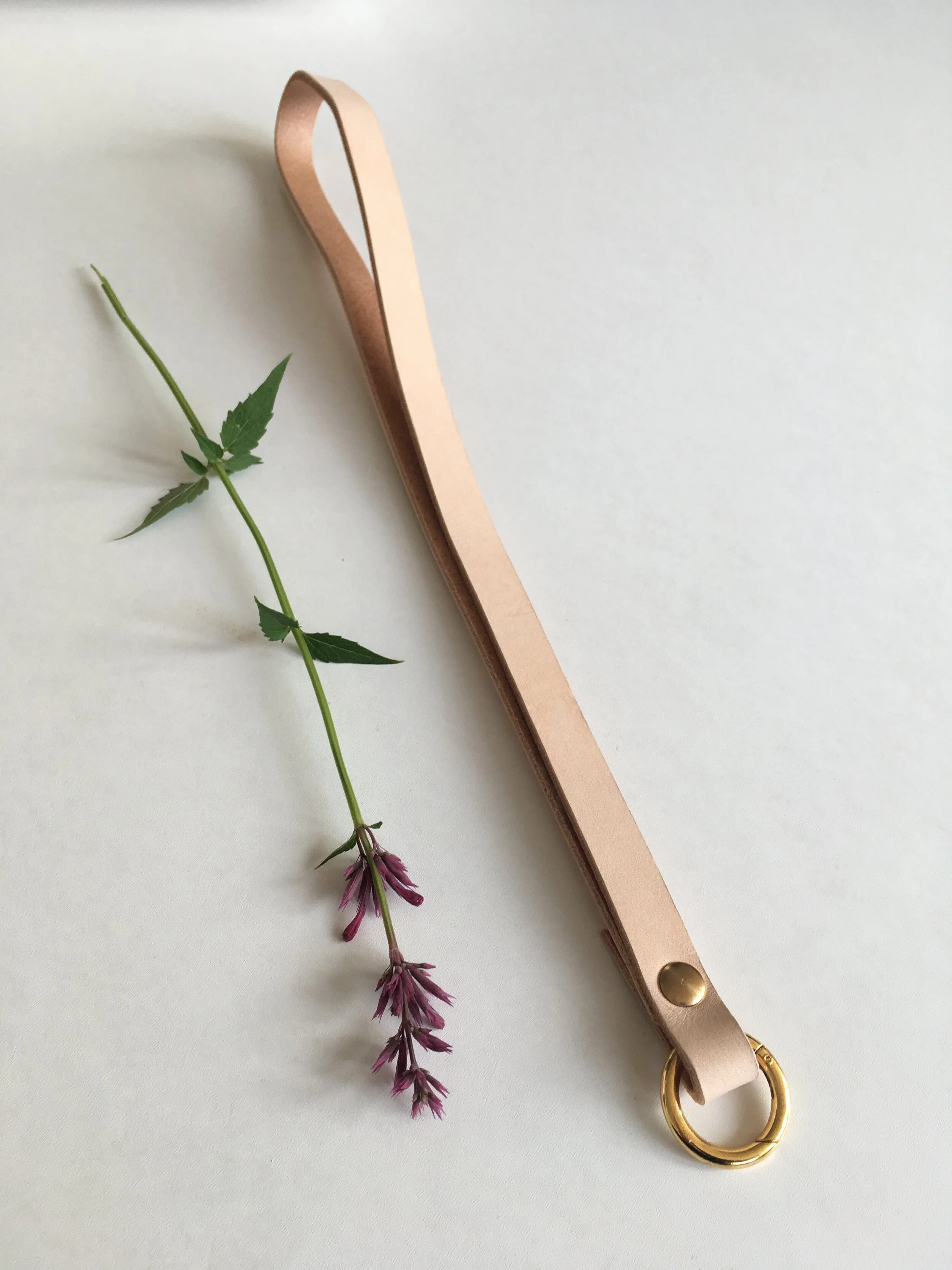 DFE4C448-A2B6-45C5-AD66-B90A6B2DF374