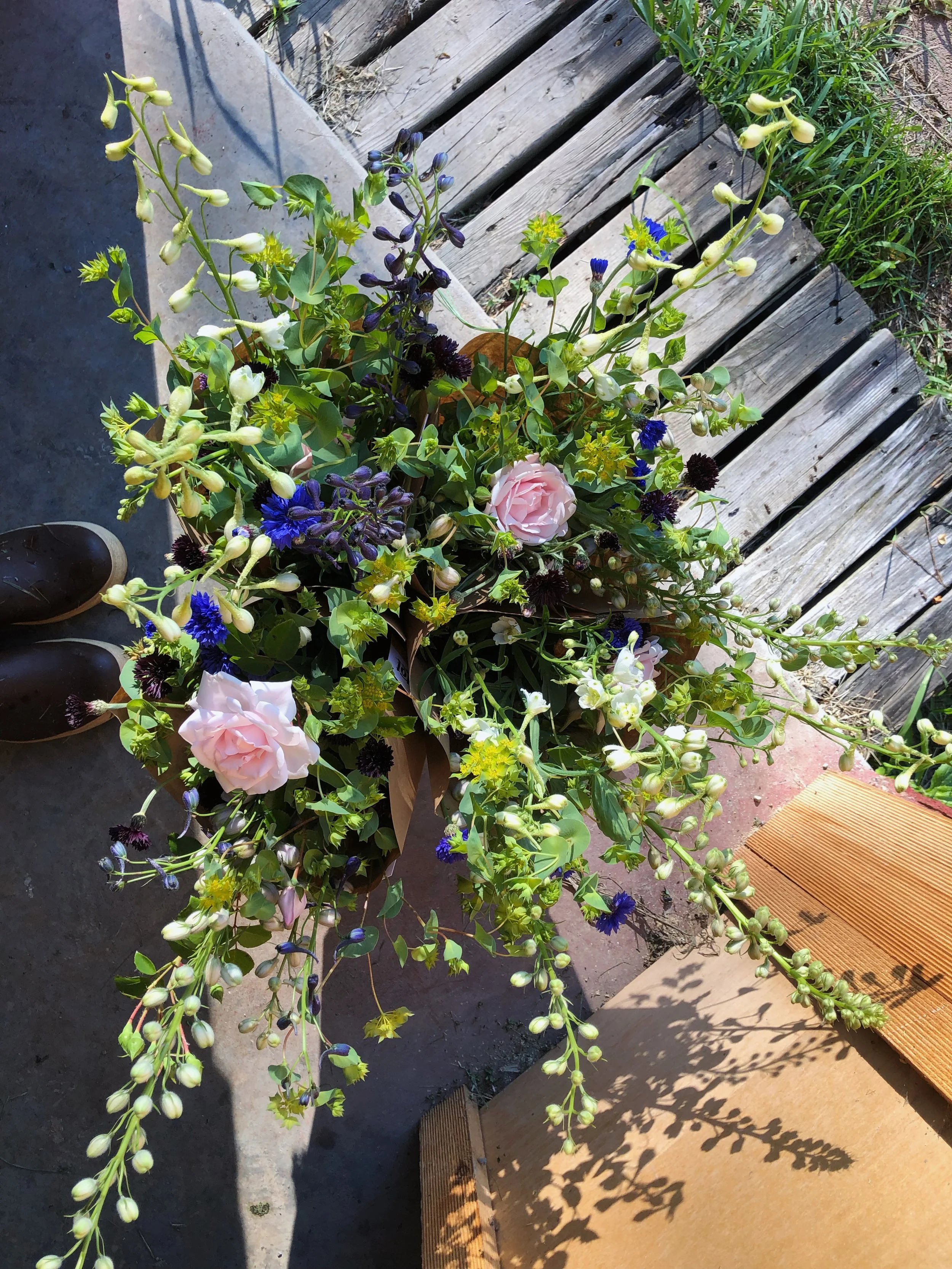 AfterlightImage 198.JPG