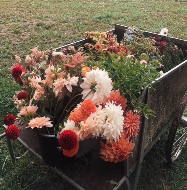 Screen Shot 2021-12-17 at 10.04.33 AM.png