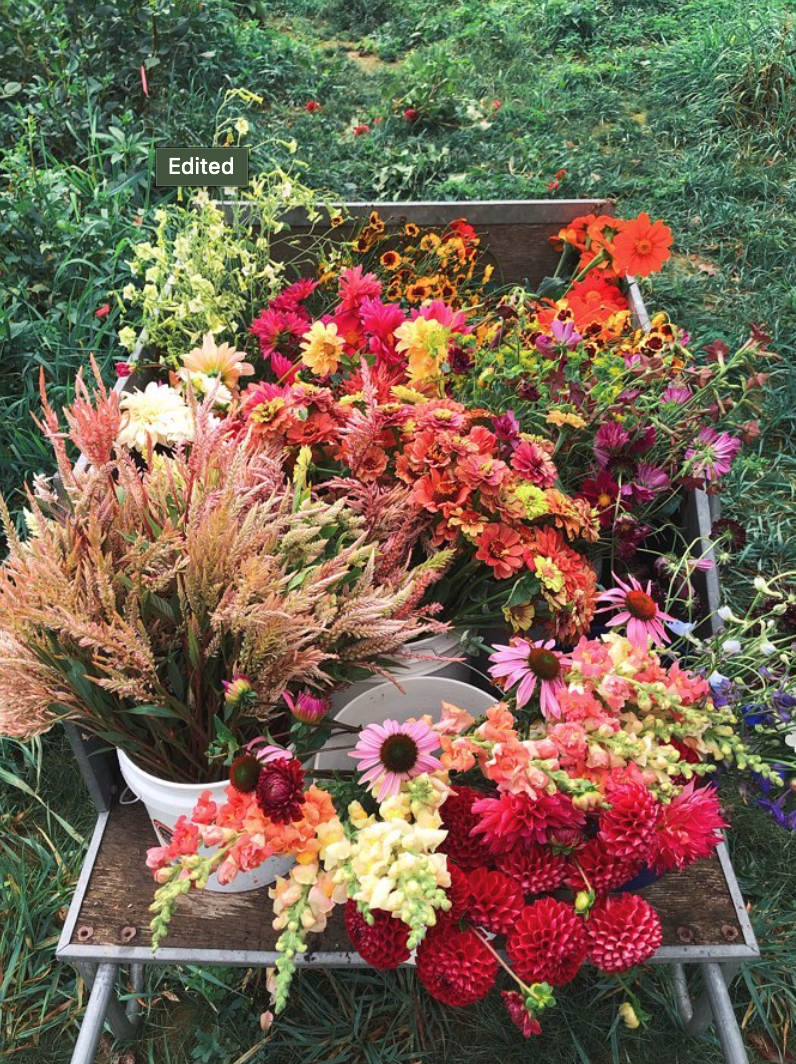 Screen Shot 2022-01-15 at 10.54.10 AM.png